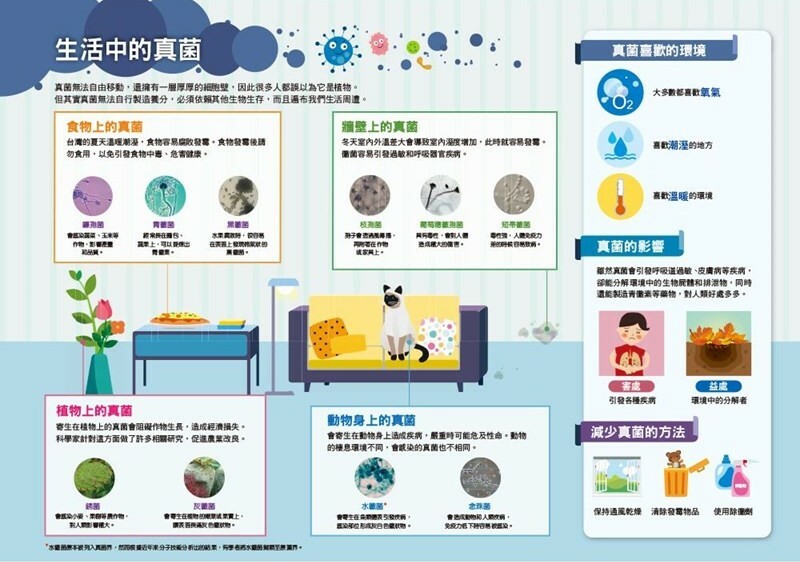 漫畫大英百科【生物地科15】：真菌與蘚苔