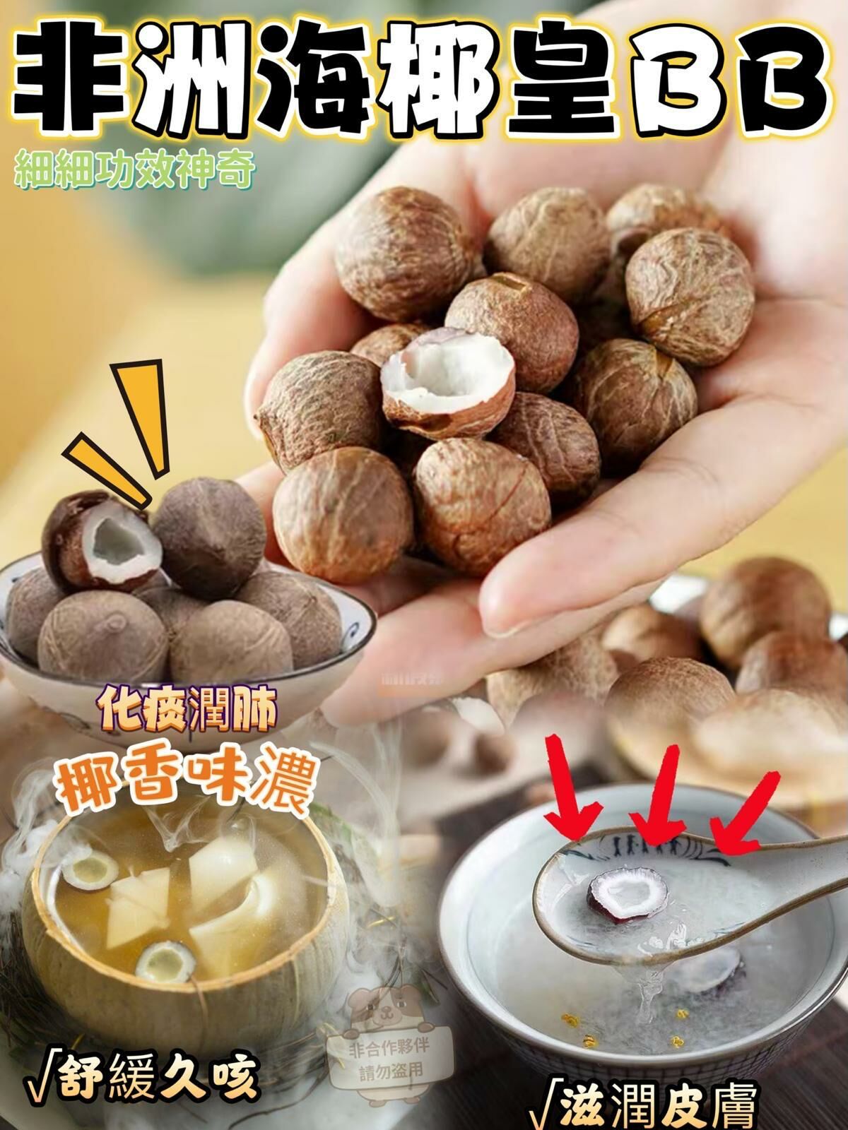 (2364)非洲特產海椰皇BB 150g