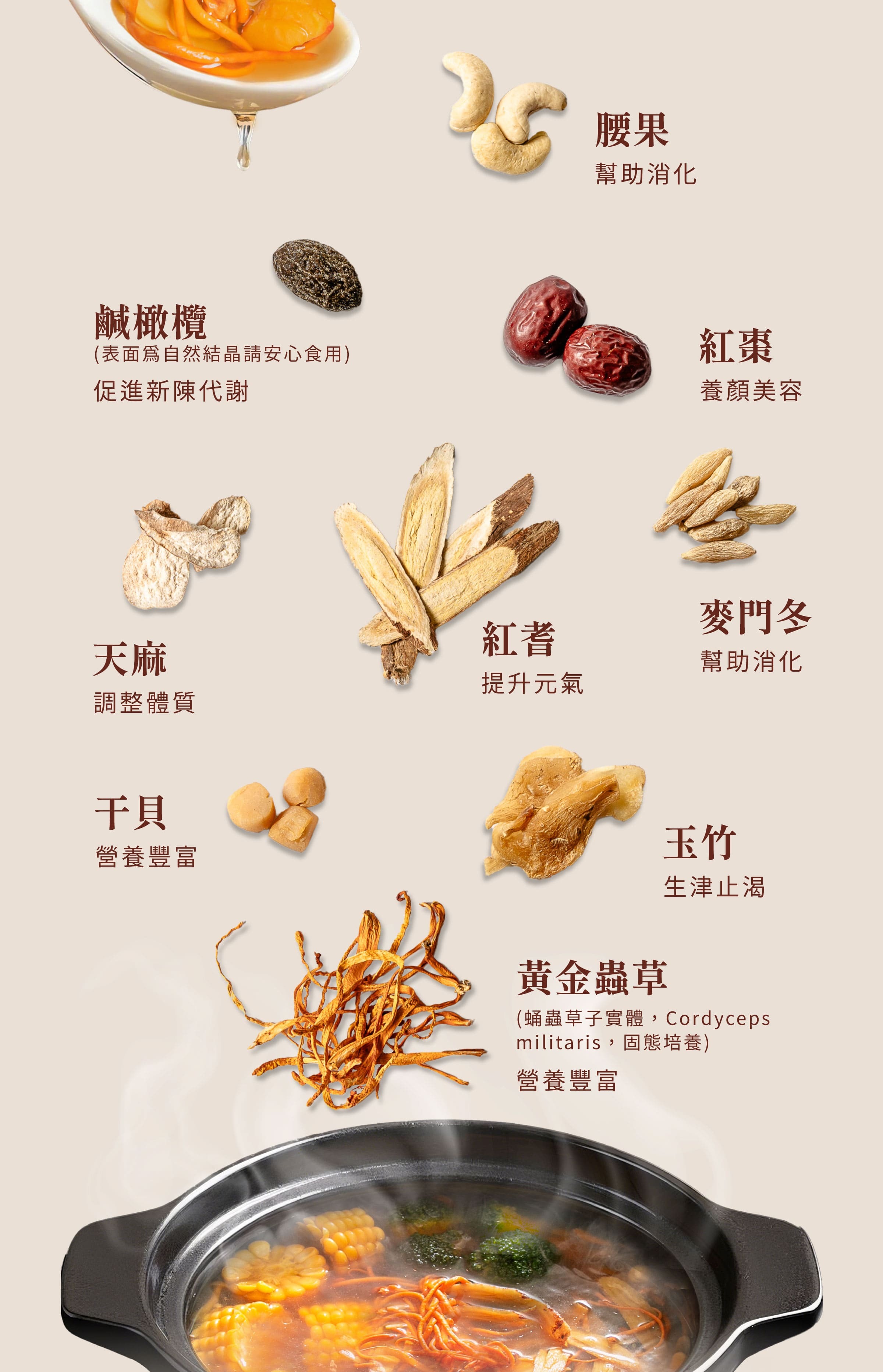 黃金蟲草湯藥膳包原料