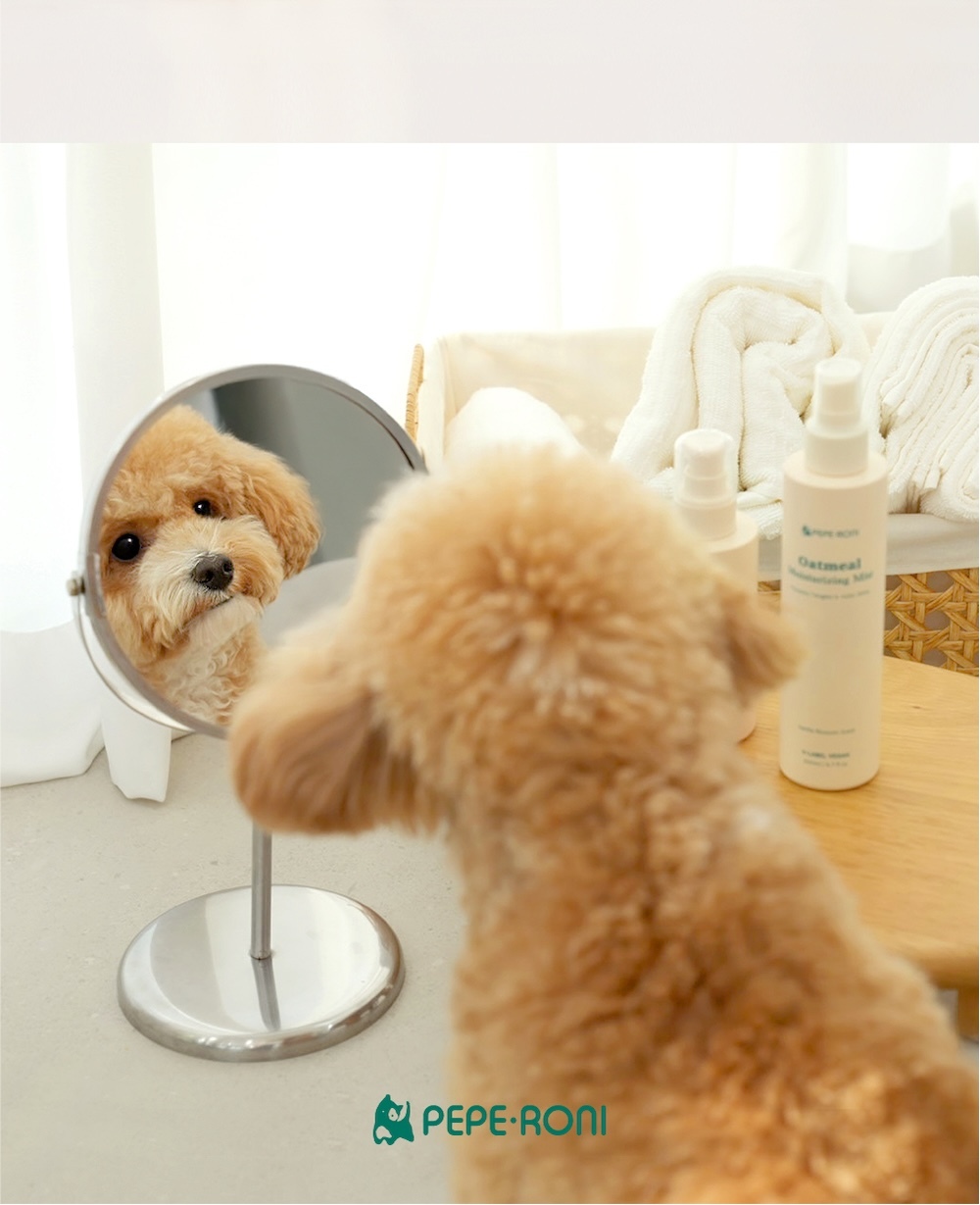 燕麥免洗清潔泡沫