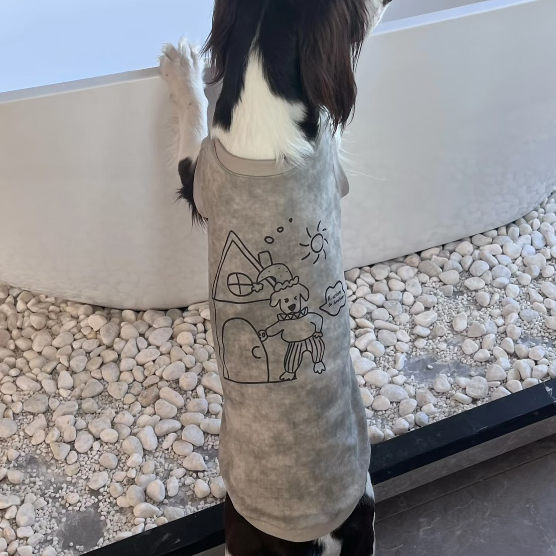 DOGKUMA - 塗鴉寵物親子裝T恤 - 霧霾灰（寵物款）