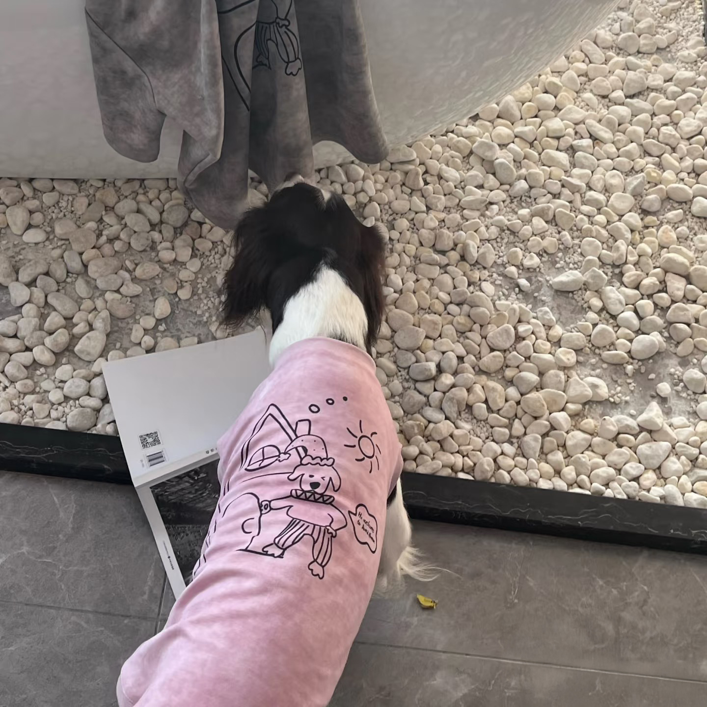 DOGKUMA - 塗鴉寵物親子裝T恤 - 豆沙粉（寵物款）