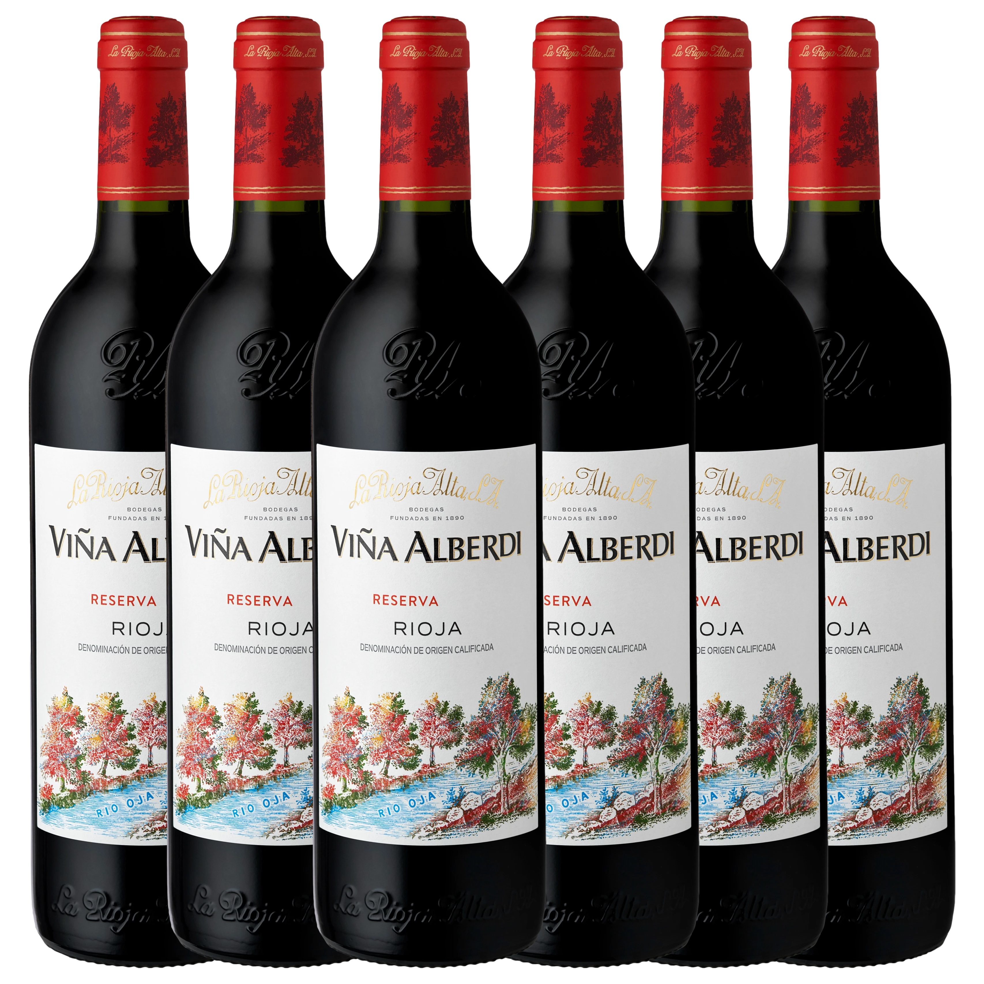 La Rioja Alta S.A. Vina Alberdi Reserva 2019 (JS92) - 6 Bottle Pack