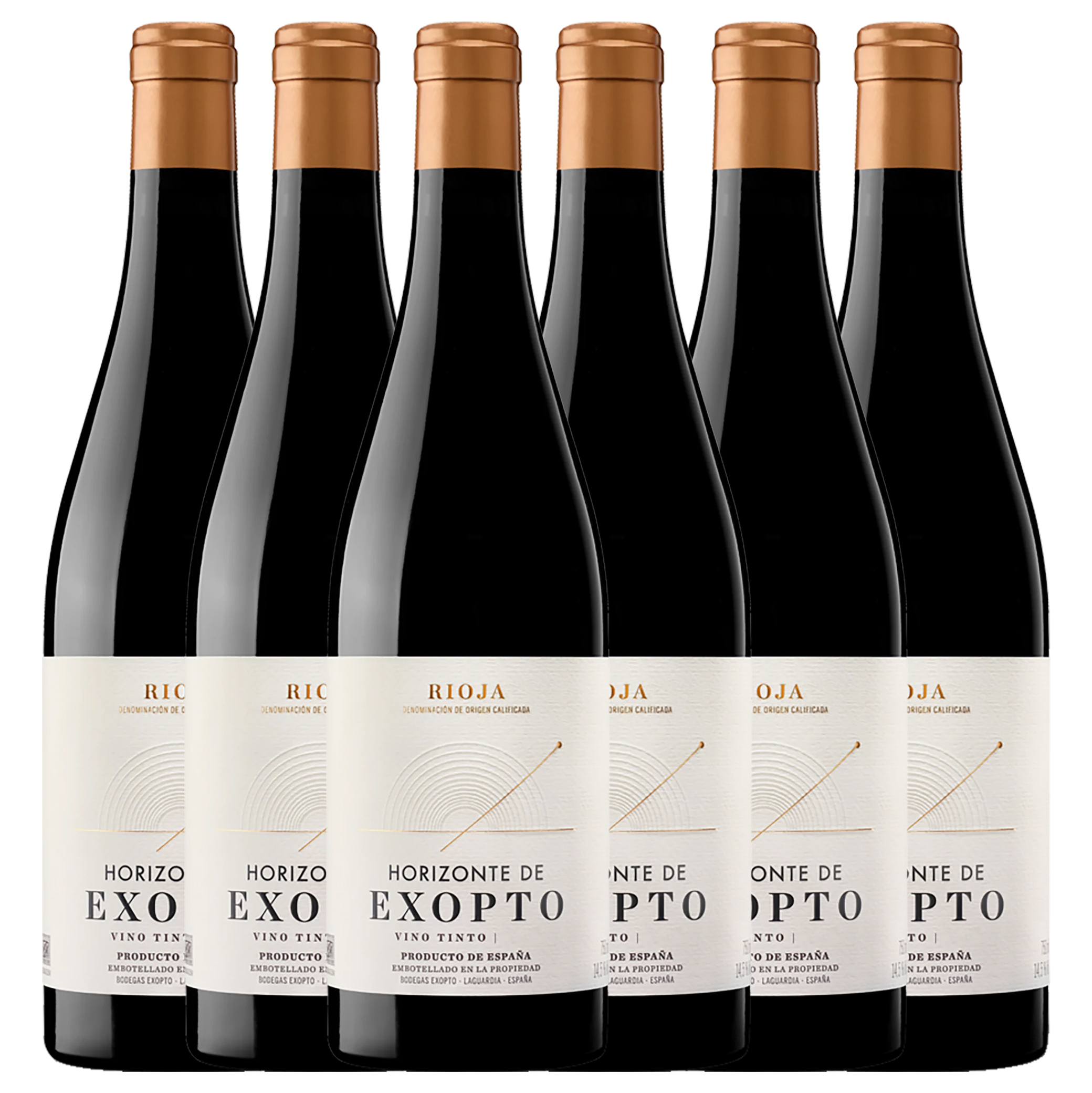 Bodegas Exopto Horizonte de Exopto Tinto 2021 - 6 Bottle Pack