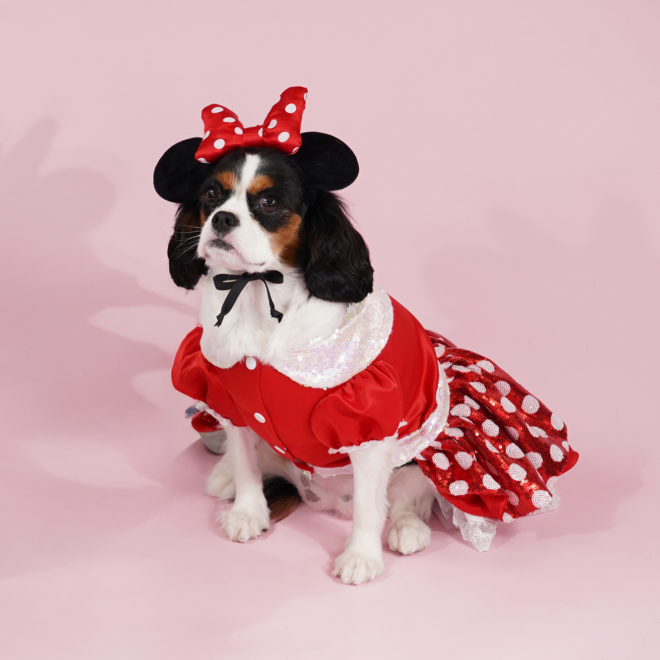 Minnie Mouse Premium Disney  Costume Set for Pets