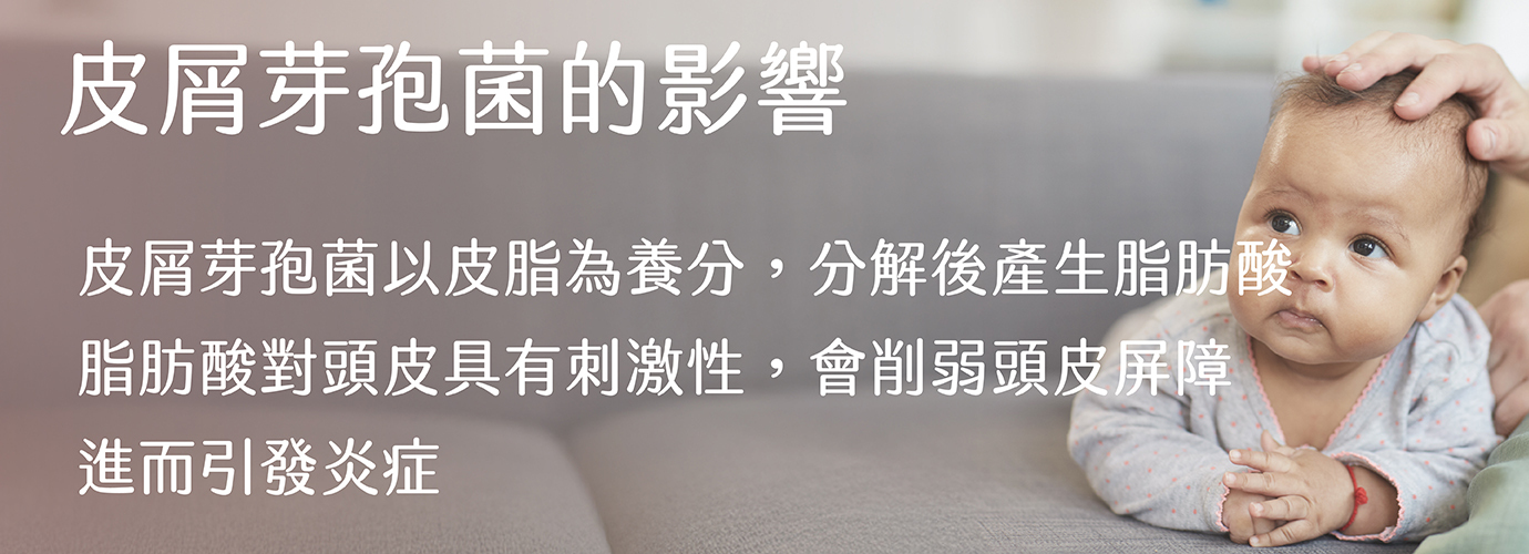 皮屑芽孢菌,脂肪酸,發炎