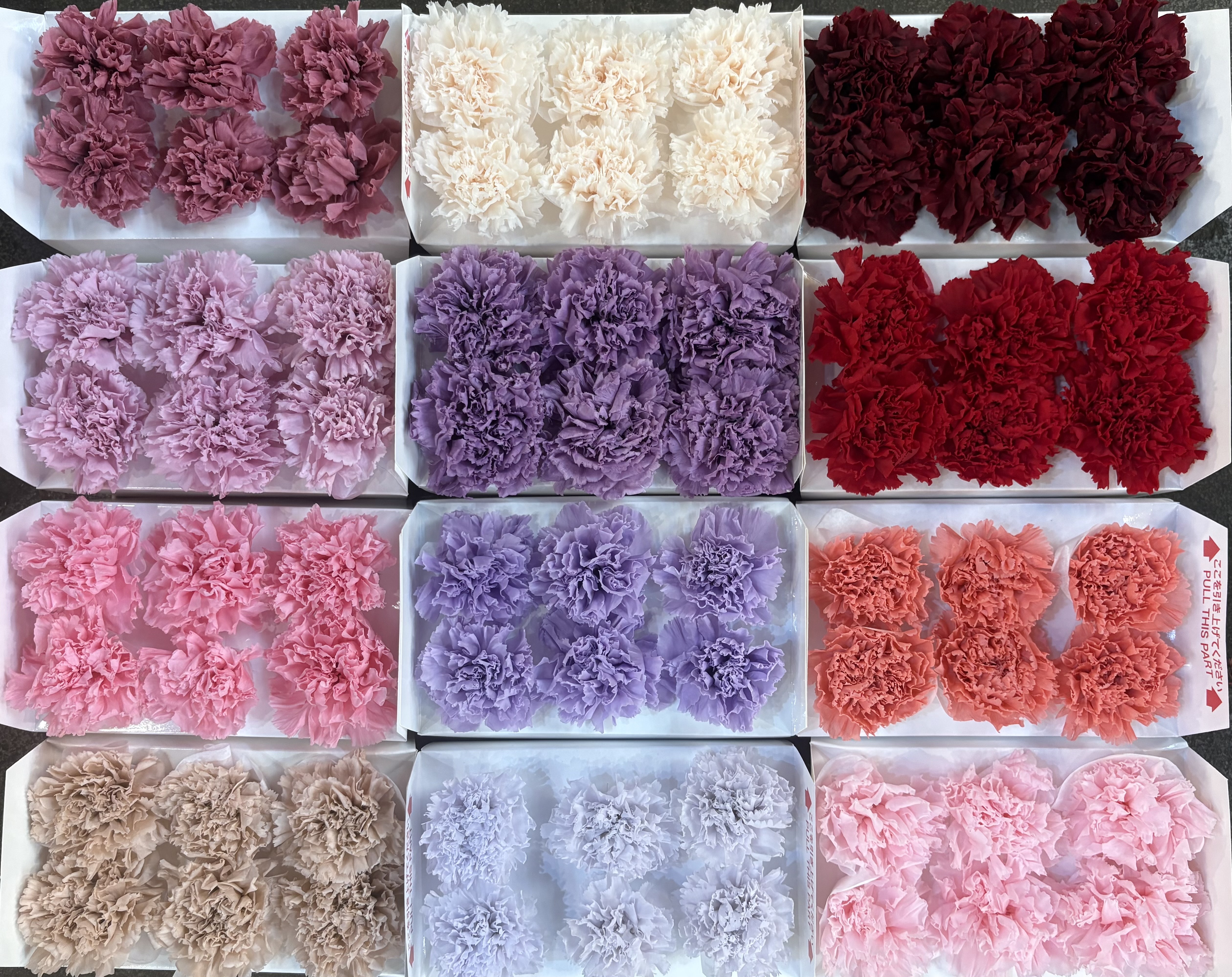 永生6輪康乃馨(5cm)