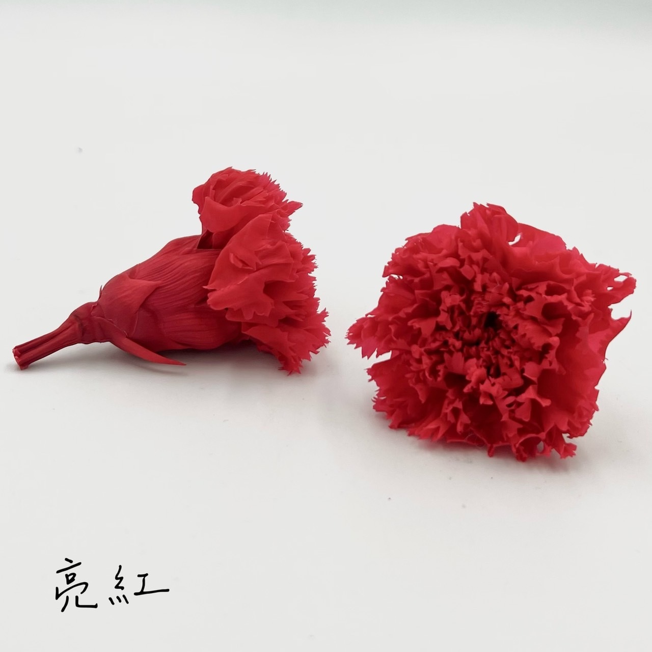 不凋康乃馨(9朵)