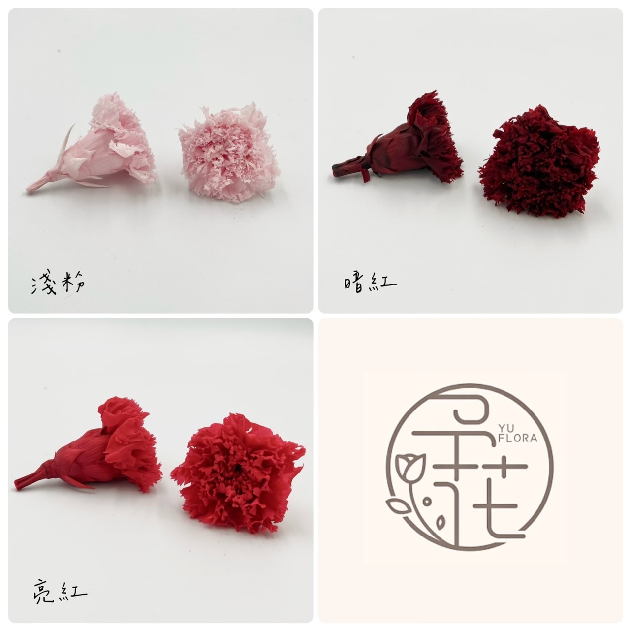 不凋康乃馨(9朵)