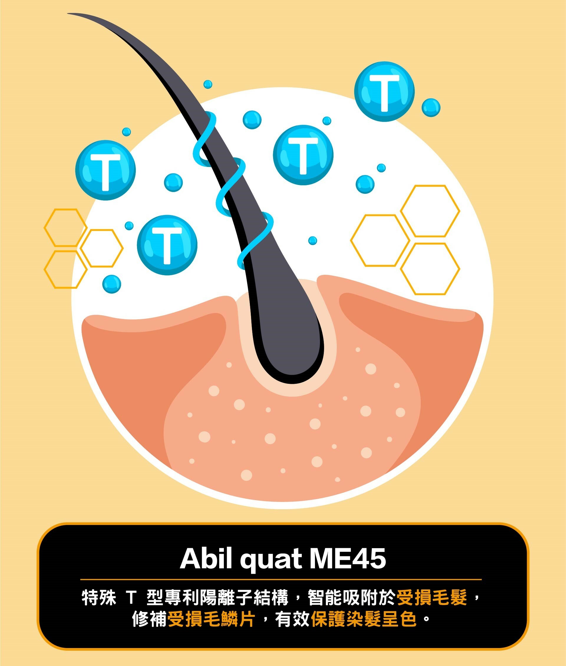 保護染髮呈色