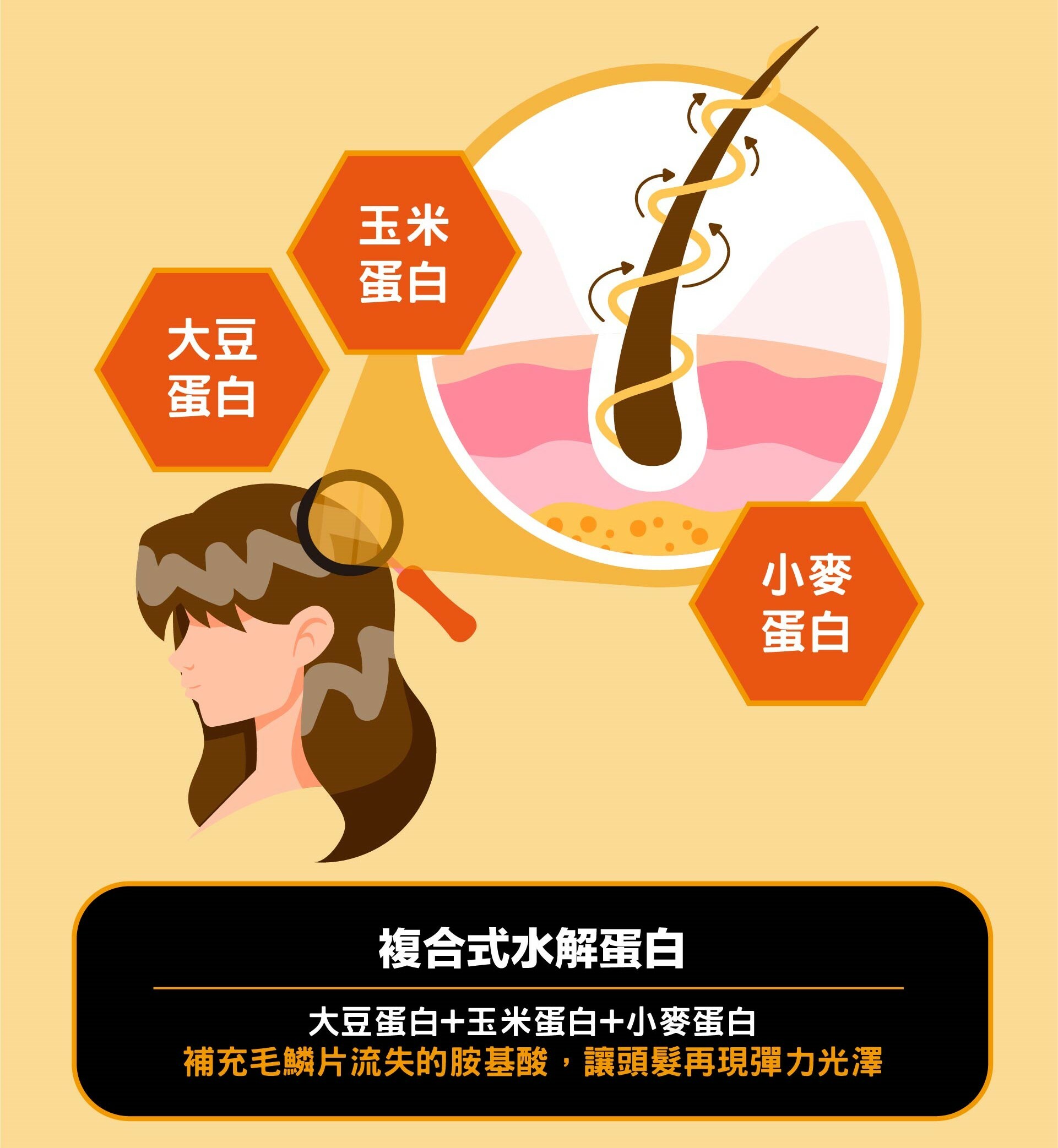 複合式水解蛋白
