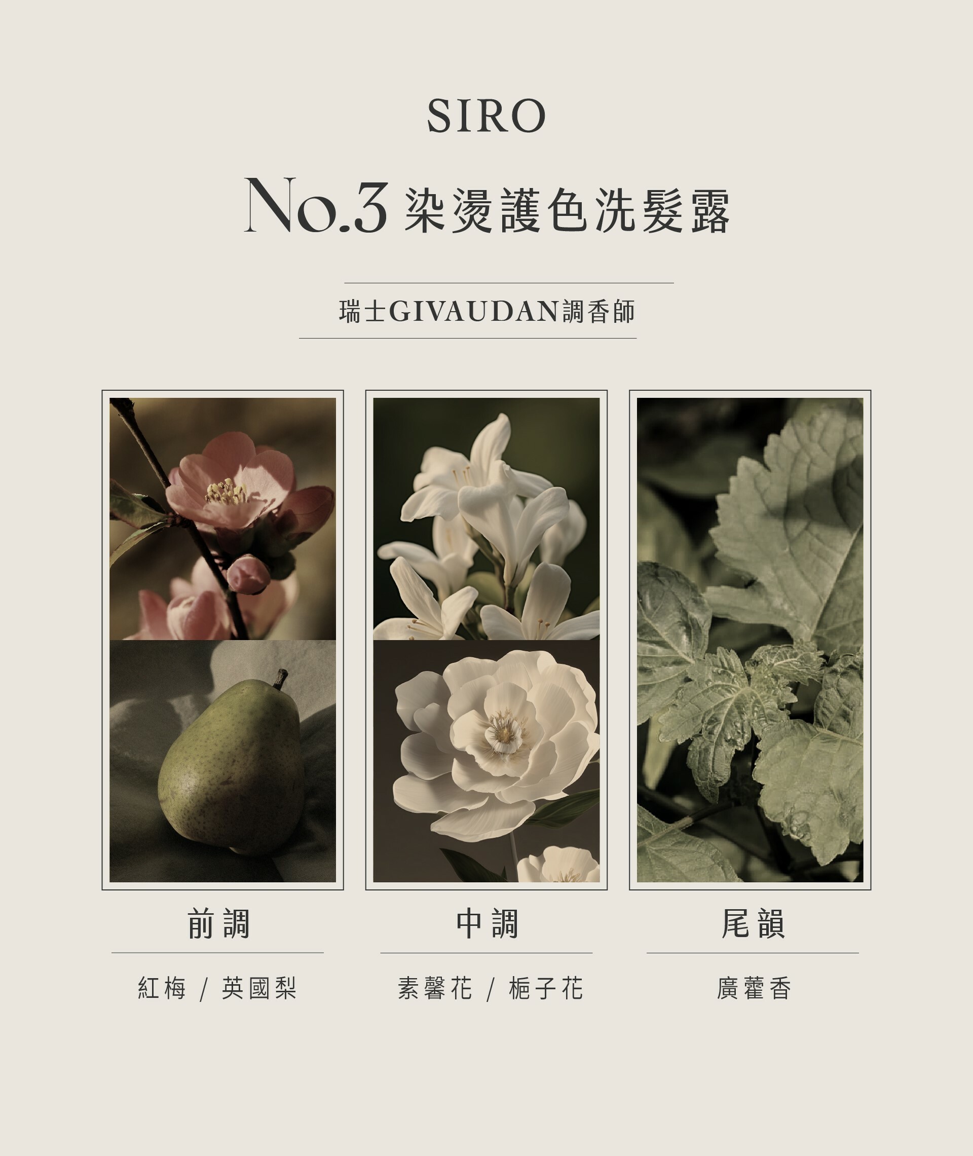 SIRO 3 號洗髮精味道