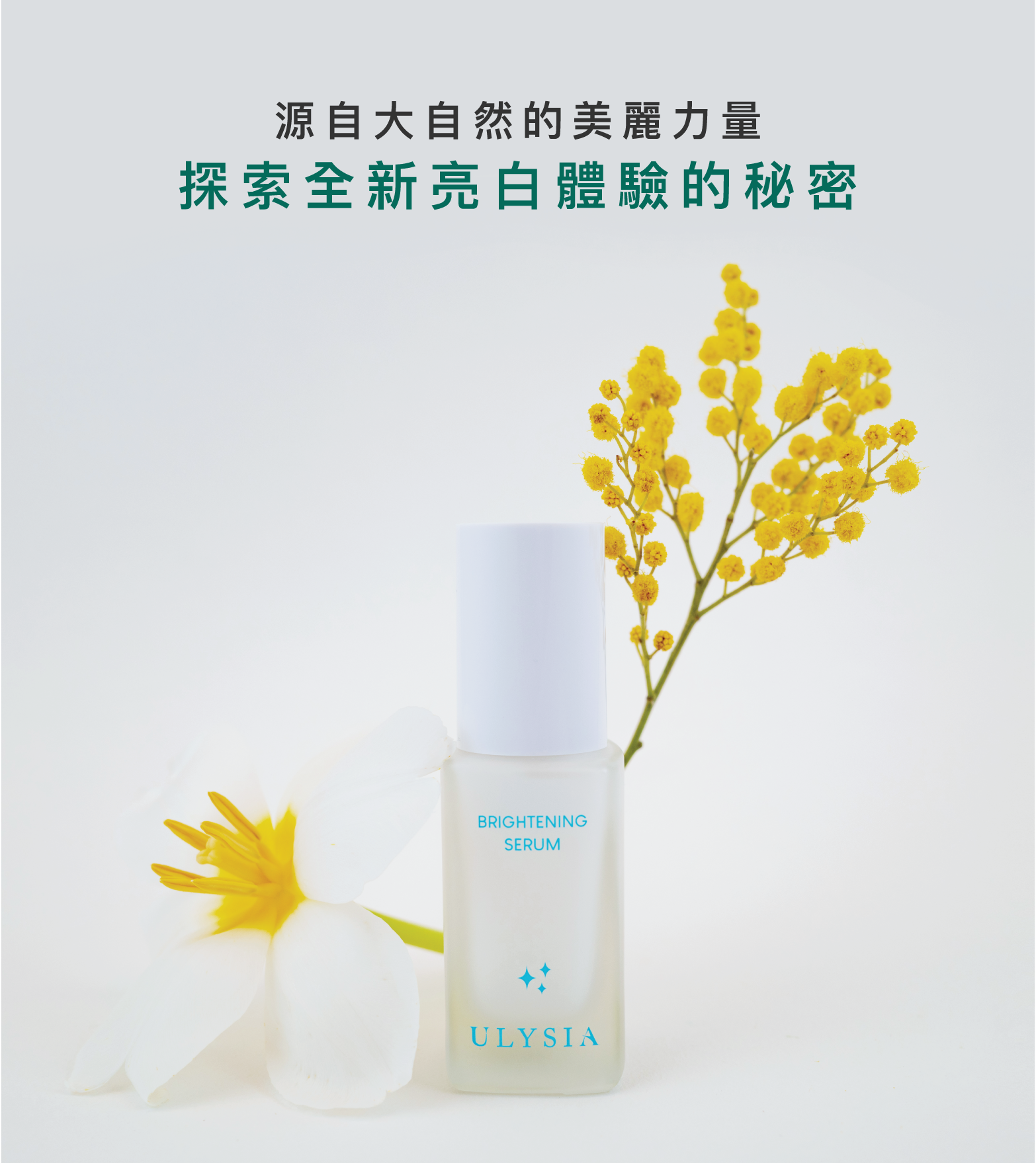 源自大自然的美麗力量，探索全新亮白體驗的秘密