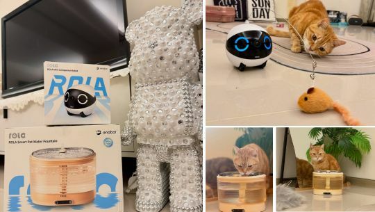 ROLA Mini, ROLA 寵物飲水機, 寵物攝影機, rola mini 攝影機, rola mini 智慧居家攝影機, rola mini 智慧居家攝影機 評價, rola mini 智慧居家攝影機 ptt