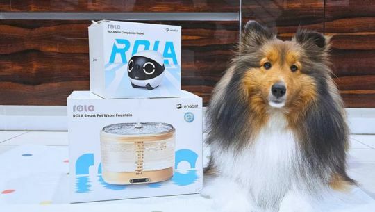 ROLA Mini, ROLA 寵物飲水機, 寵物攝影機, rola mini 攝影機, rola mini 智慧居家攝影機, rola mini 智慧居家攝影機 評價, rola mini 智慧居家攝影機 ptt