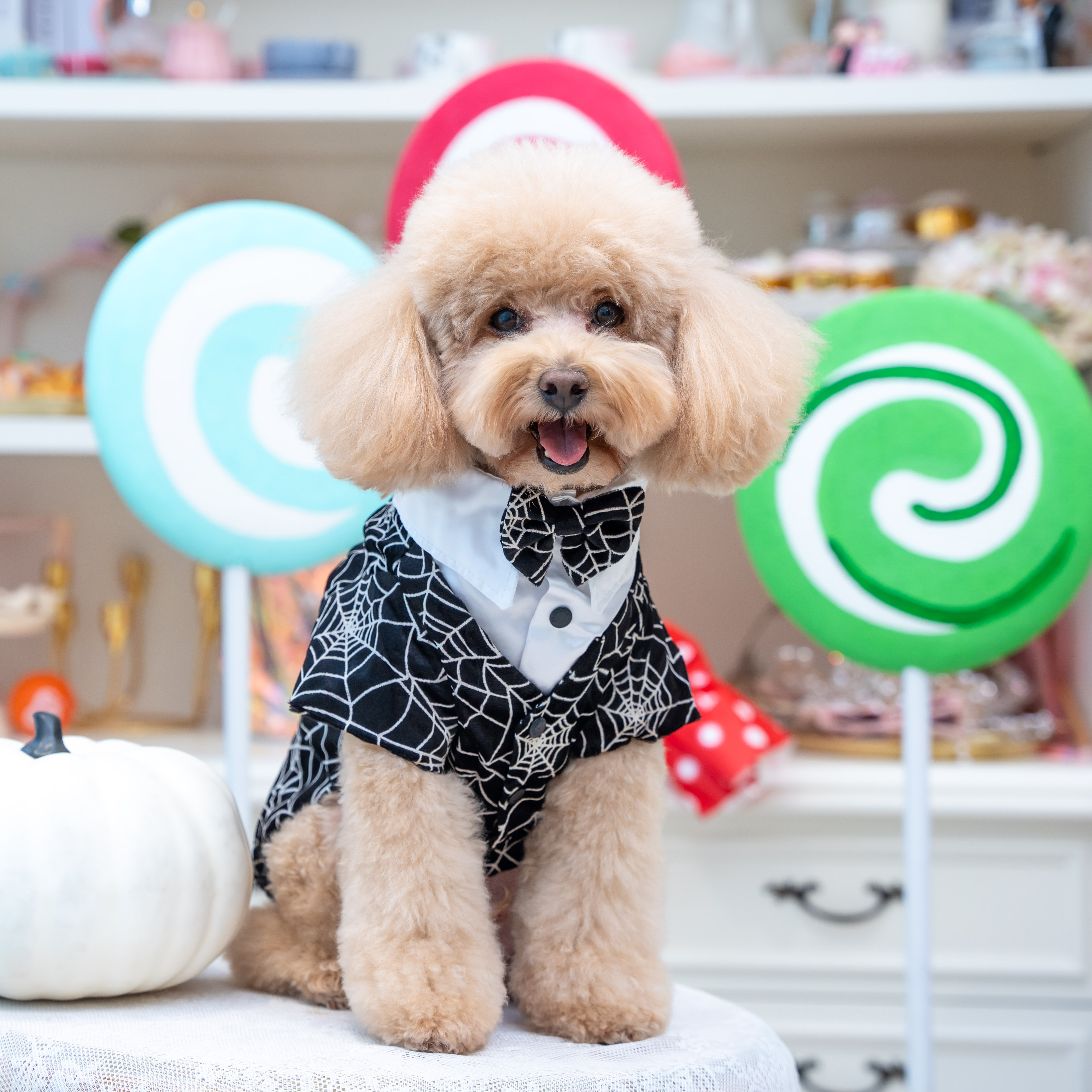 Halloween Glowing Spider Web Tailcoat