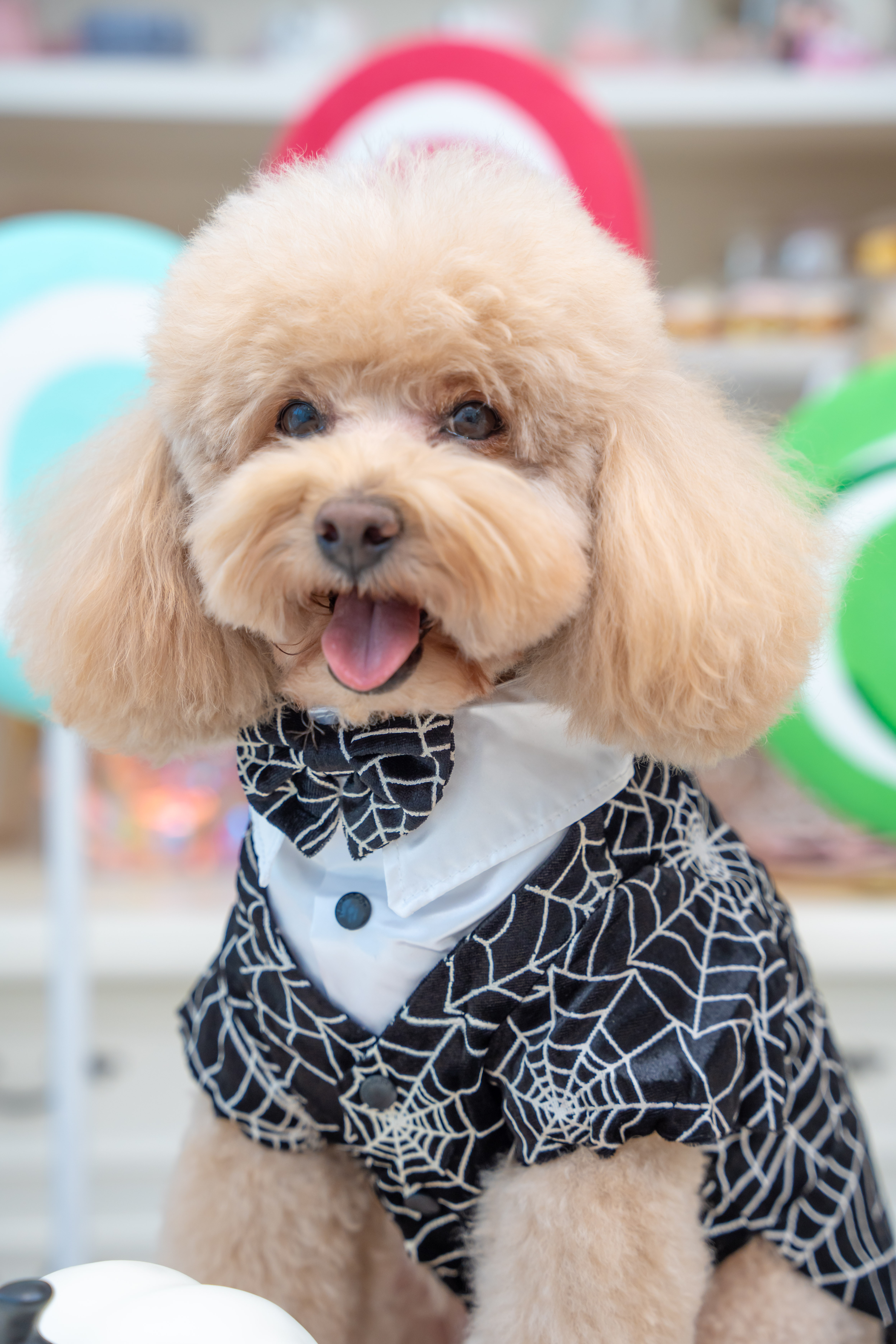 Halloween Glowing Spider Web Tailcoat