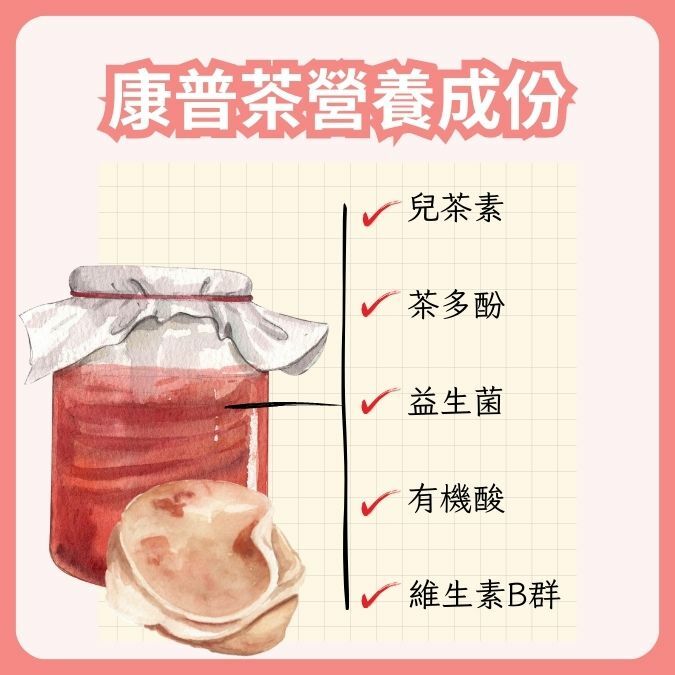 康普茶營養成分