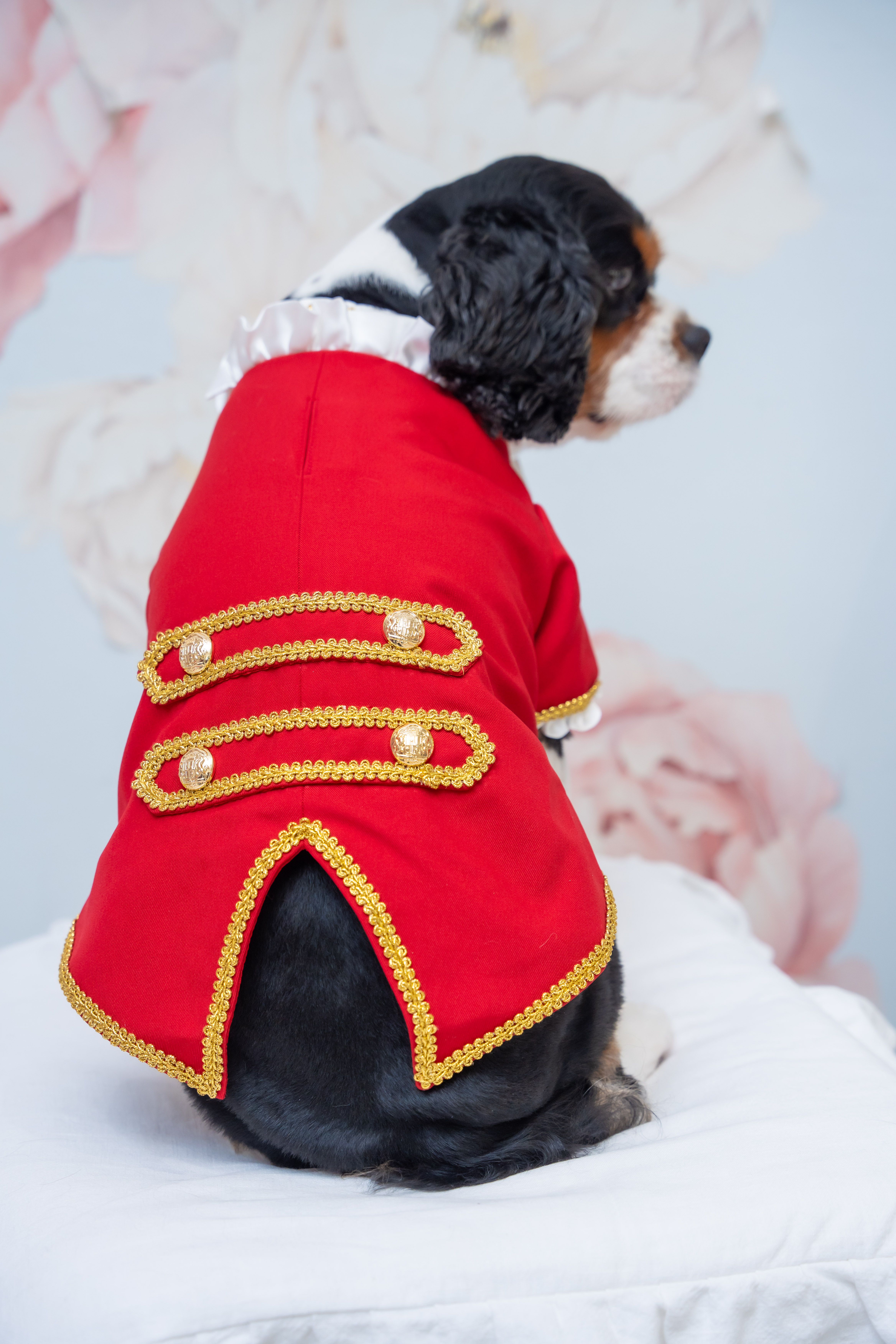 Noble Prince Red Tuxedo