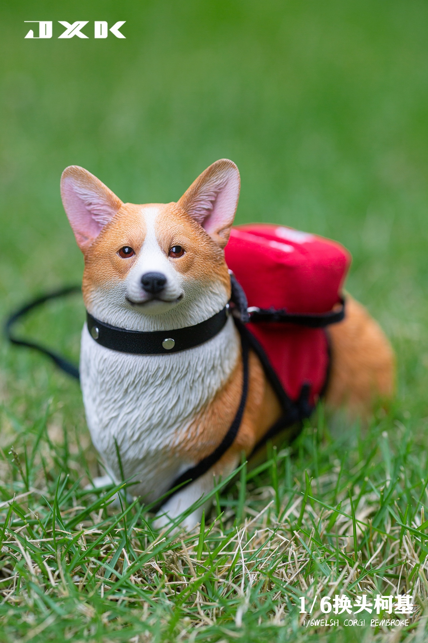 JxK Studio : 1/6  換頭柯基