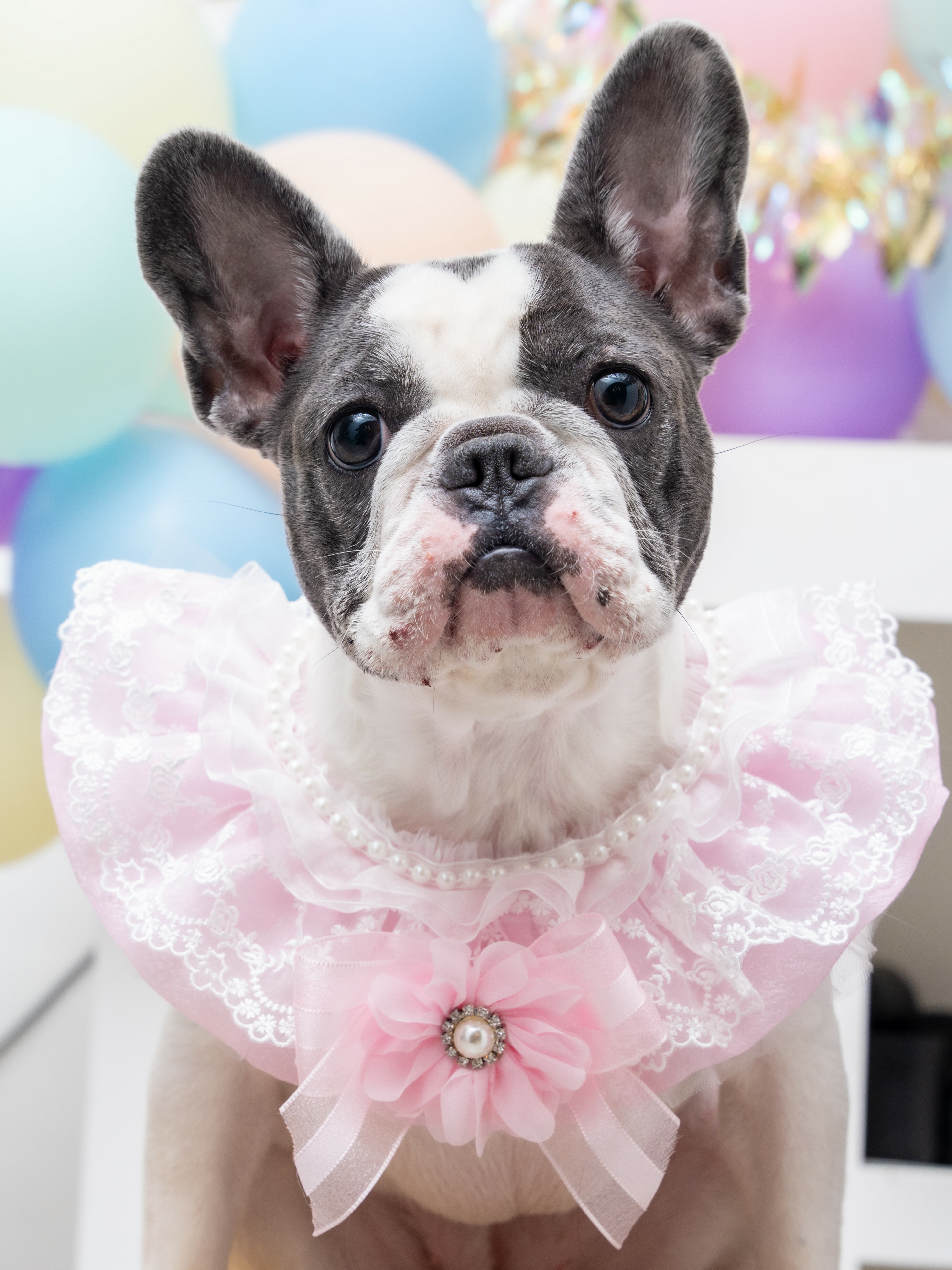 Pink Floral Bow Lace Collar