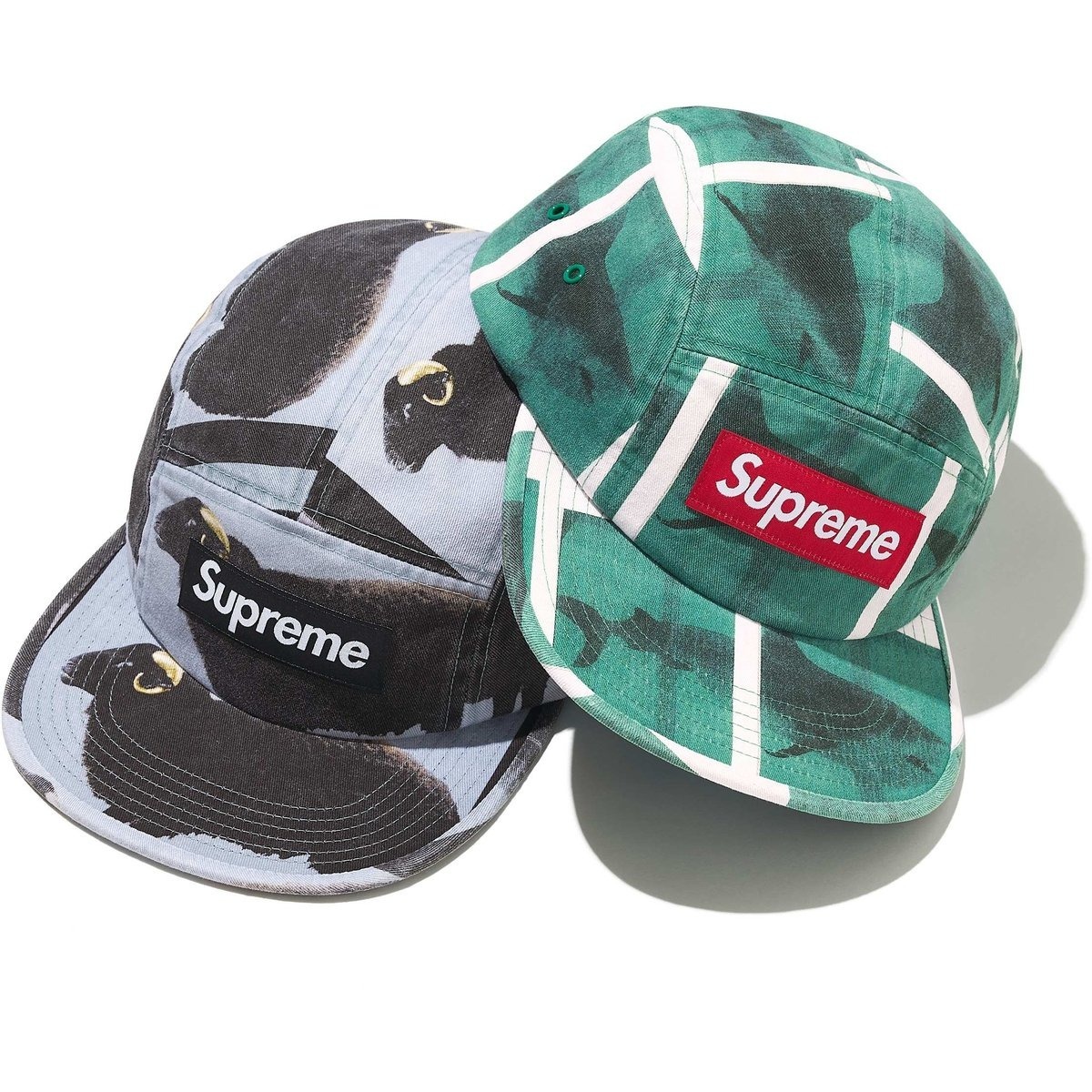 2025SS SUPREME Damien Hirst Camp Cap 達米恩 赫斯特 藝術家 綿羊 鯊魚 帽子 現貨