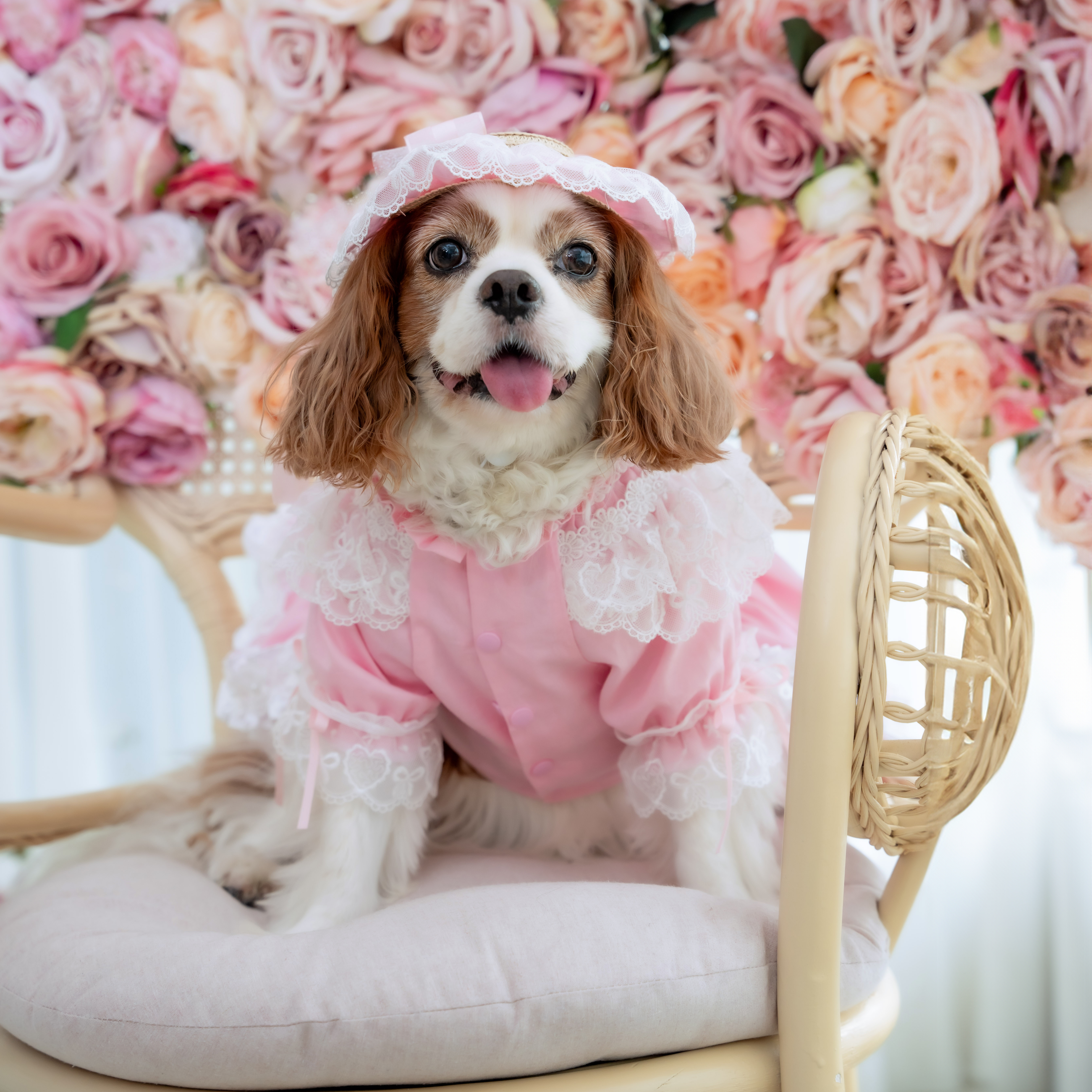 Pink Long Sleeve Lace Dress (excluded the hat)