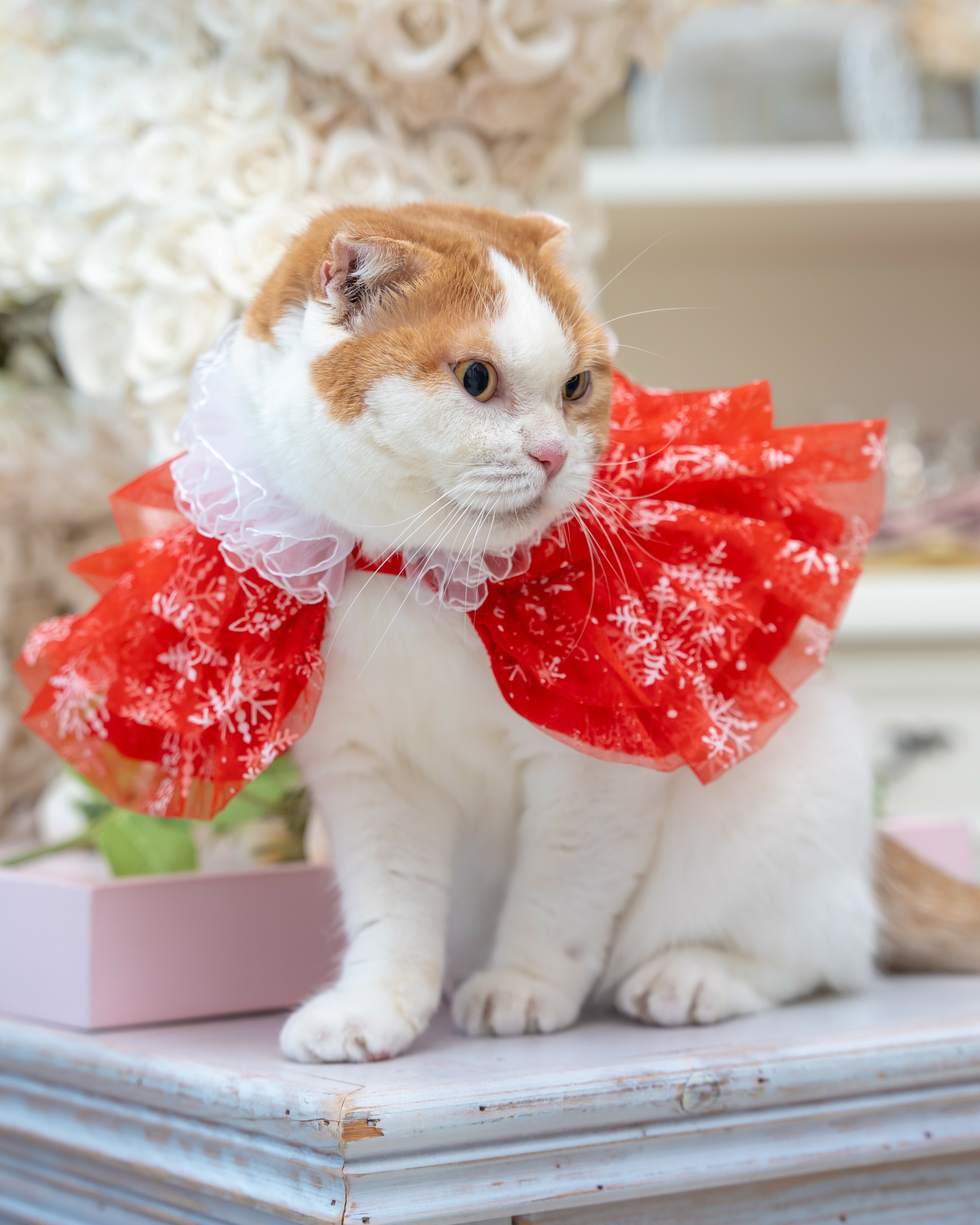 X'MAS Red Snowflakes Cape