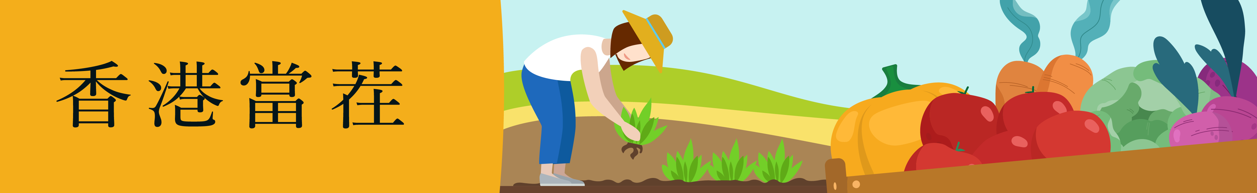 三點水料理, 三點水太爺雞, 煙燻太爺雞, 香港蕃茄, 香港蘿蔔, 香港紅菜頭, 香港薑, 香港南瓜, 香港農夫, 香港農業, 香港當茬, 香港椰菜, 香港高麗菜