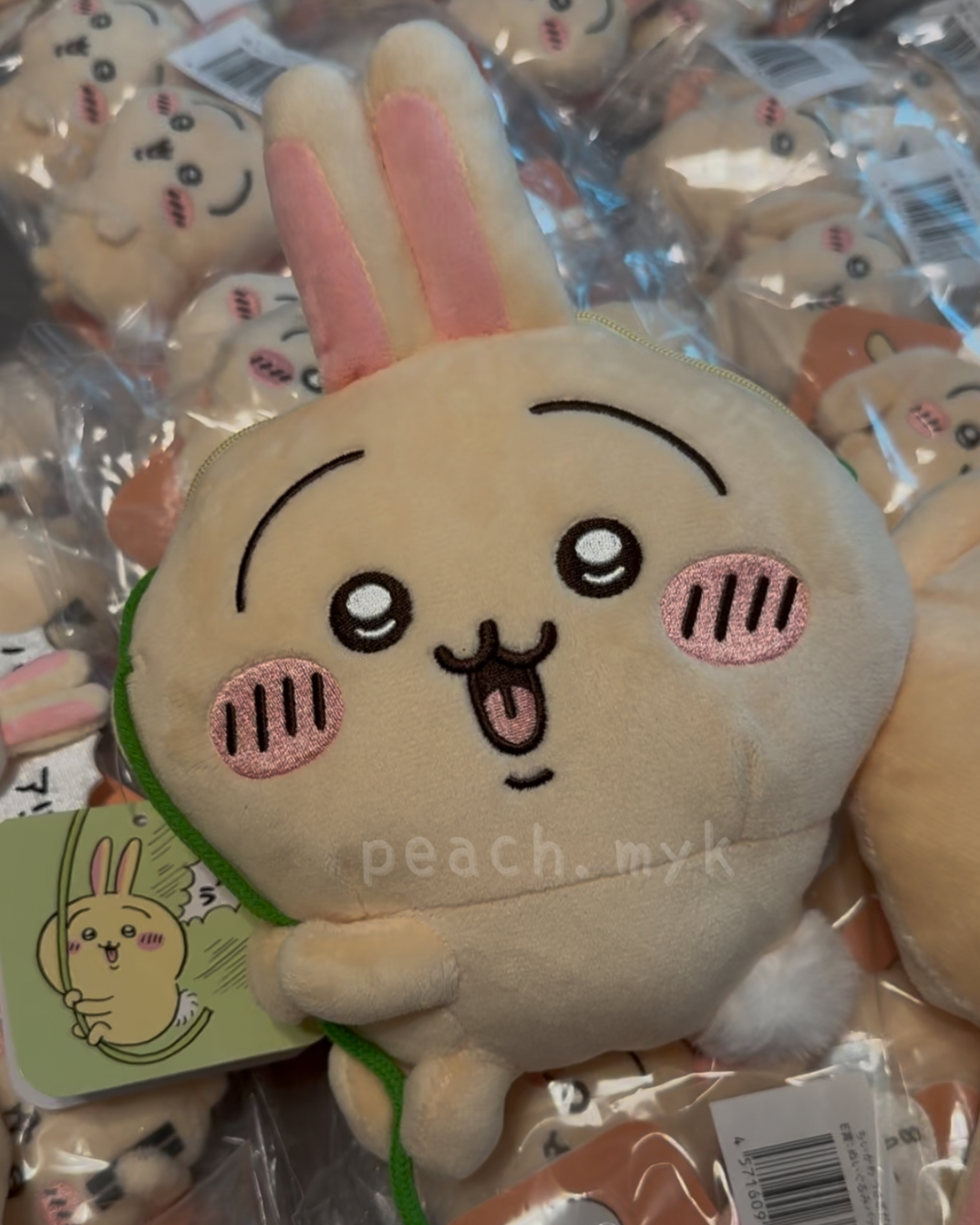 兔兔一番賞 C賞 (飛繩)