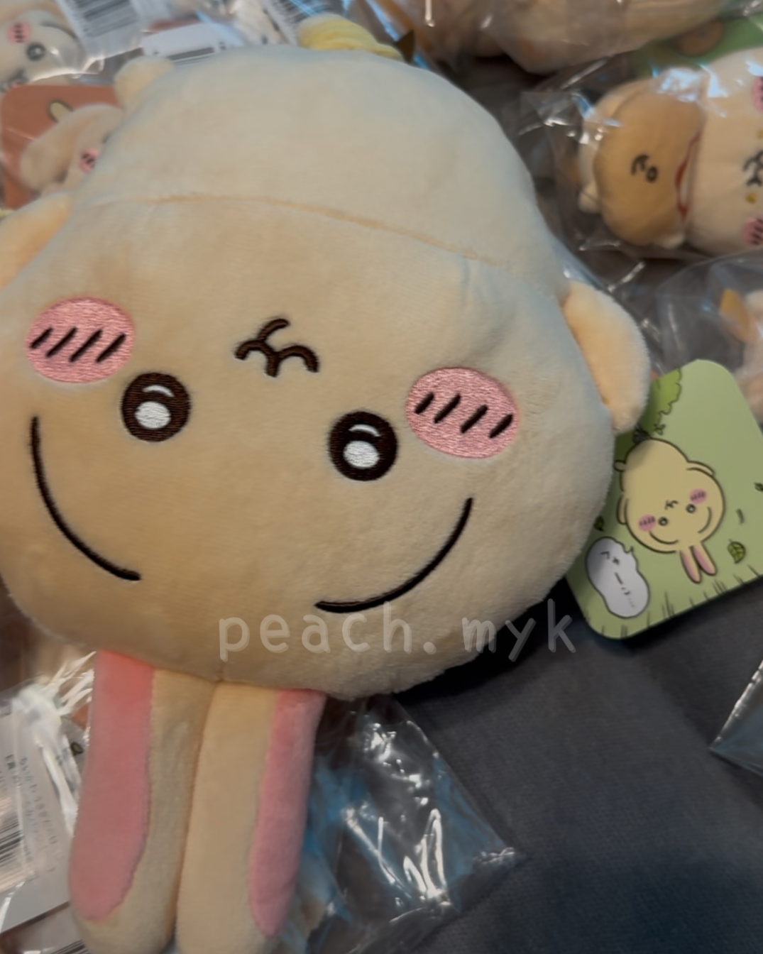 兔兔一番賞C賞 (倒吊)