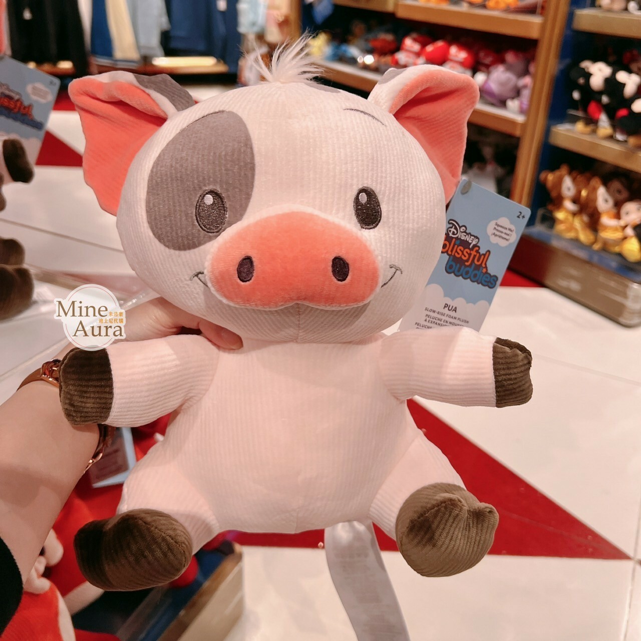 超柔軟系列 噗噗豬 Pua 娃娃 玩偶 海洋奇緣 Moana -香港迪士尼樂園