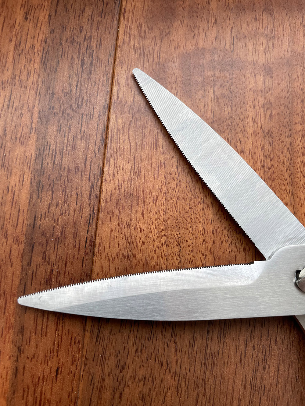 《日本協和工業》MUTEKIBASAMI系列 不鏽鋼W型料理剪刀