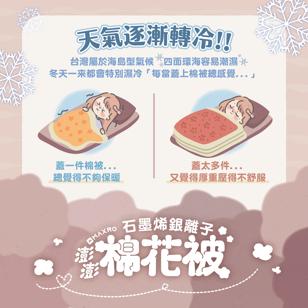 【MAXRO】 石墨烯銀離子棉花被 (含防塵袋) AB14