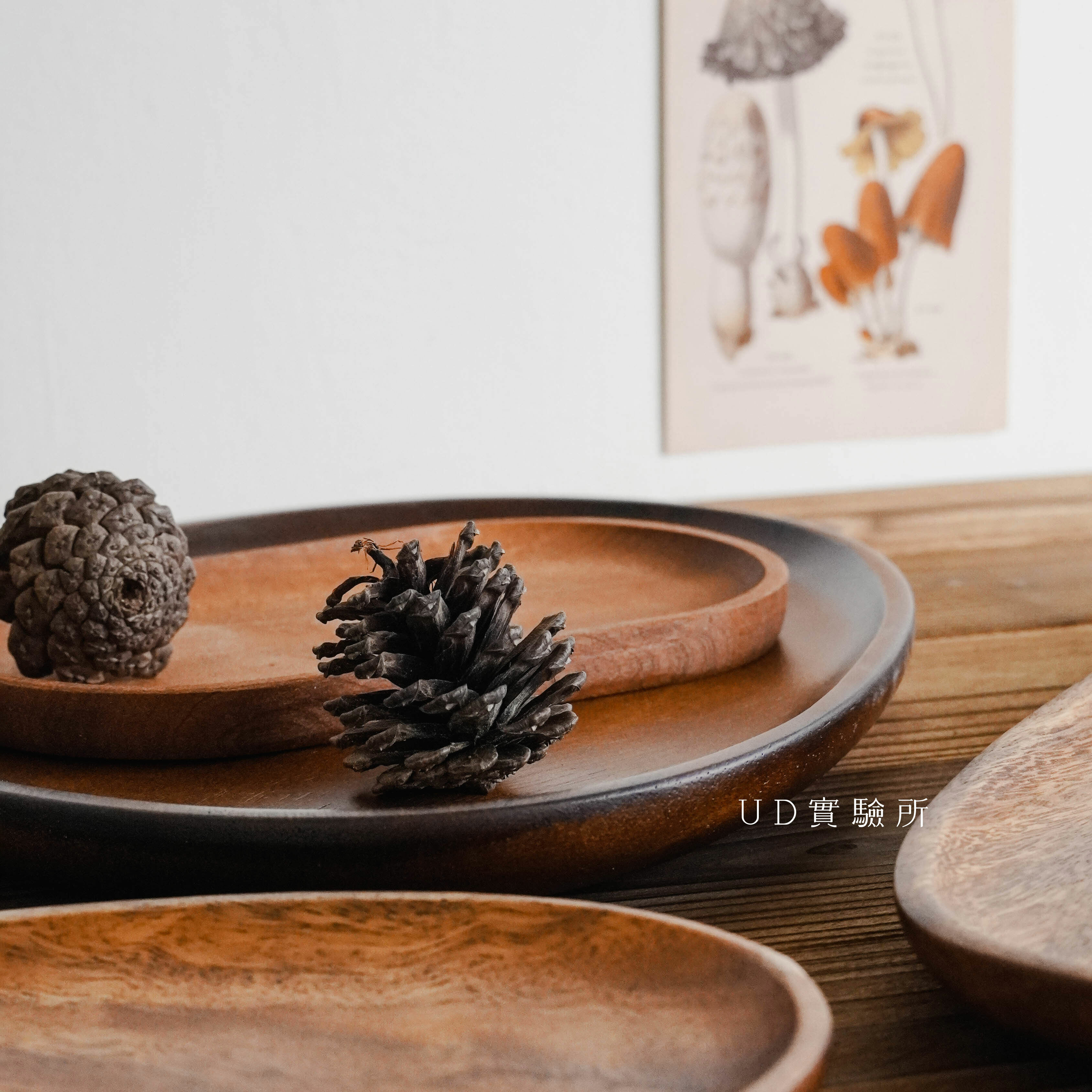 不規則原木餐盤