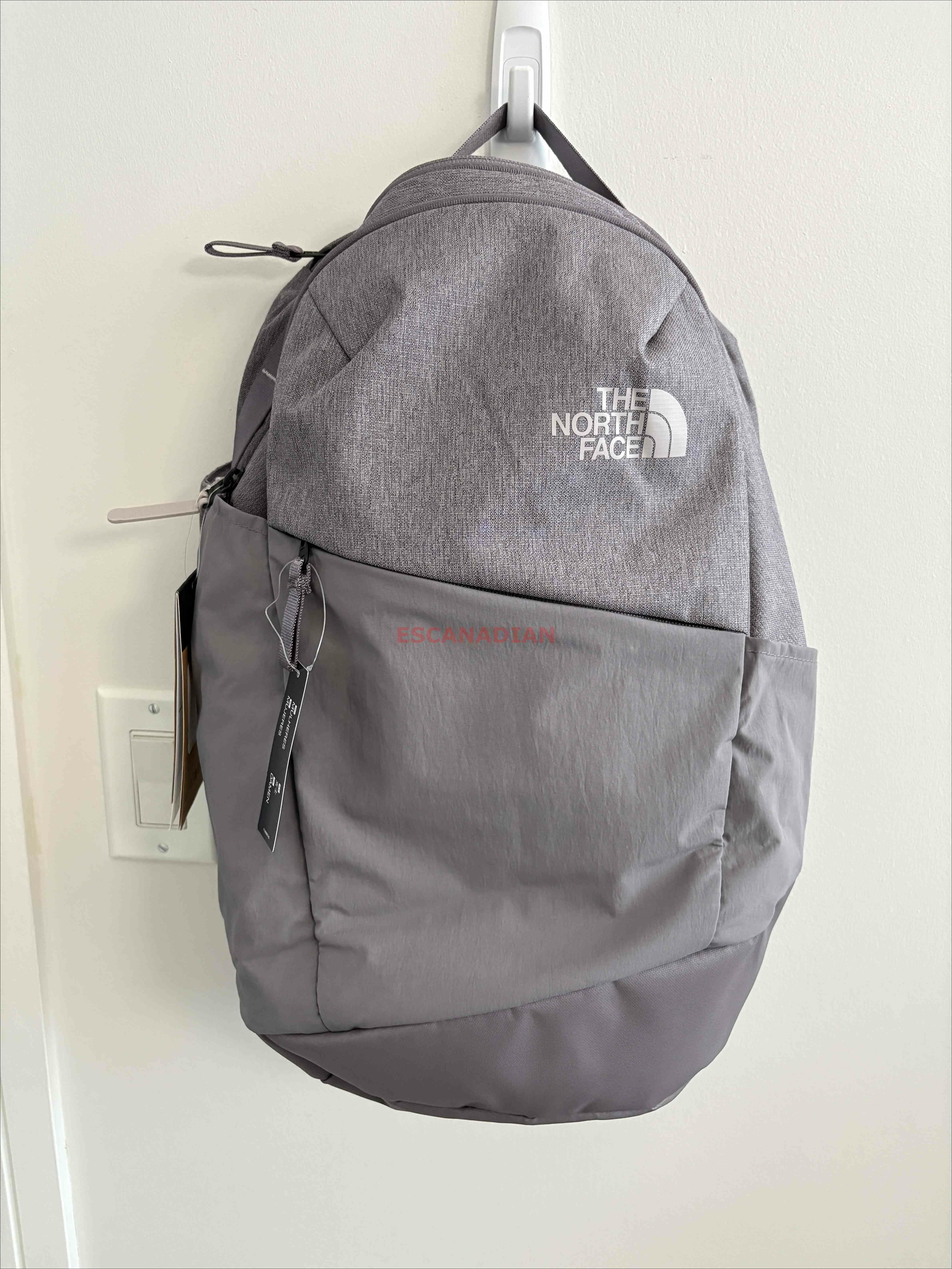 THE NORTH FACE 大人 Isabella系列 (20L) 雙層多功能 後背包