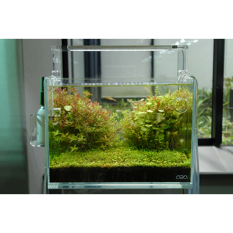 ADA Cube Garden