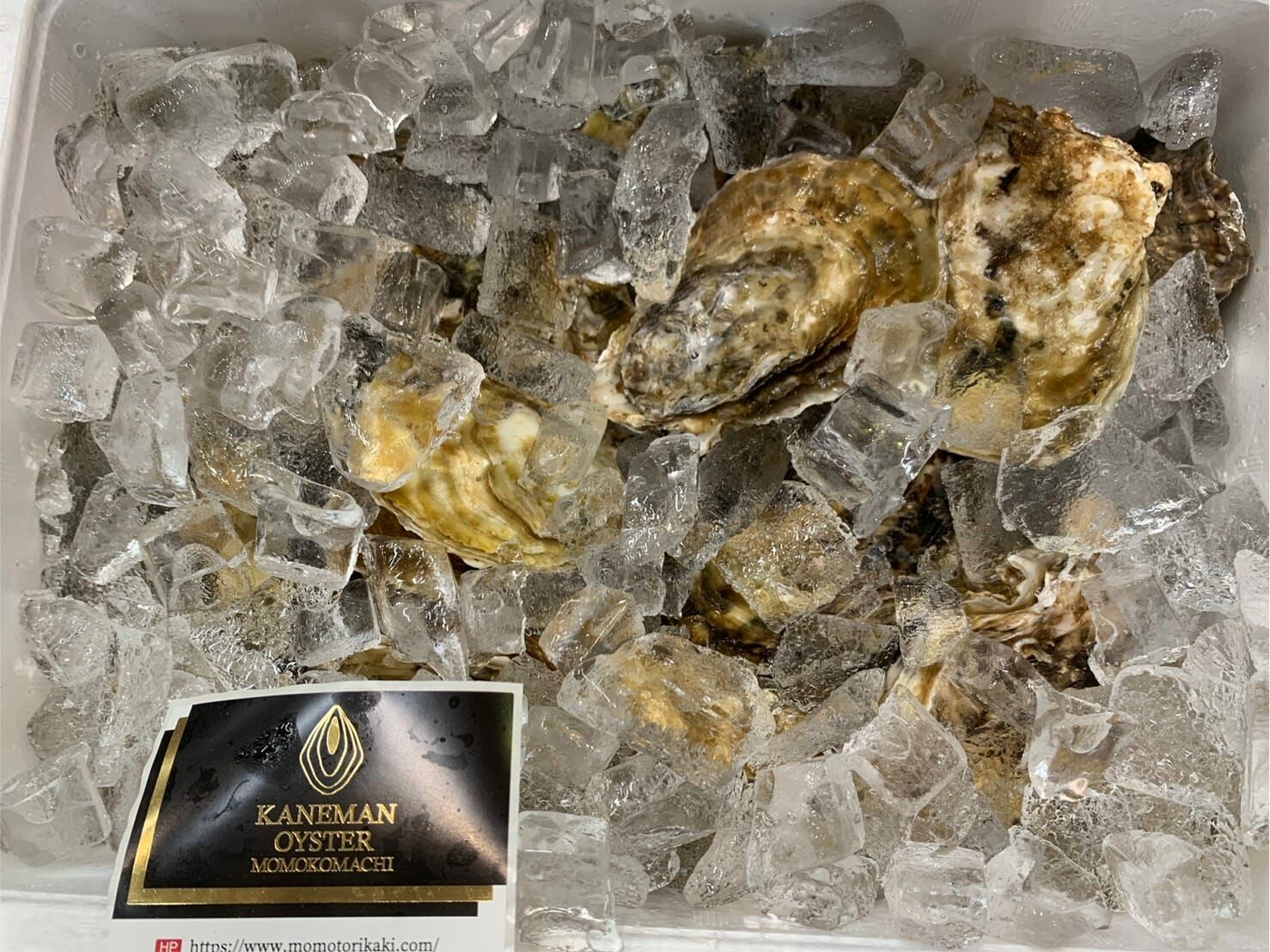 三重鳥羽 桃小町 真蠔 約80-100g/隻