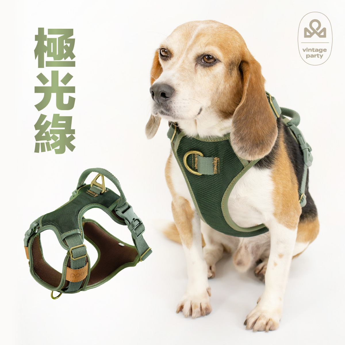 《官網限定》CoolFit 3扣H型胸背帶 復古運動款(送拉繩)