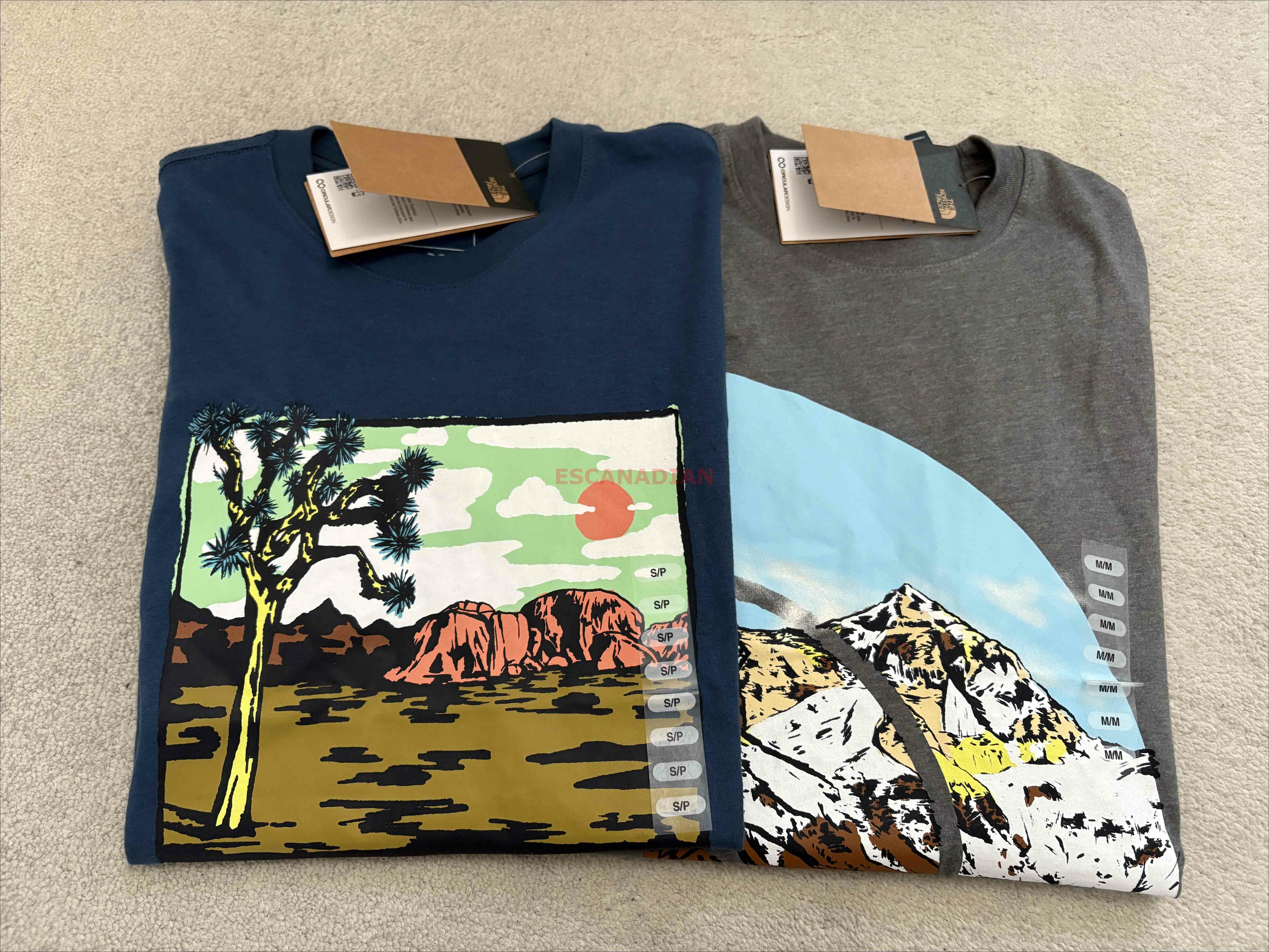 THE NORTH FACE 男大人 雙面圖案 短TEE (前圖案後小LOGO)