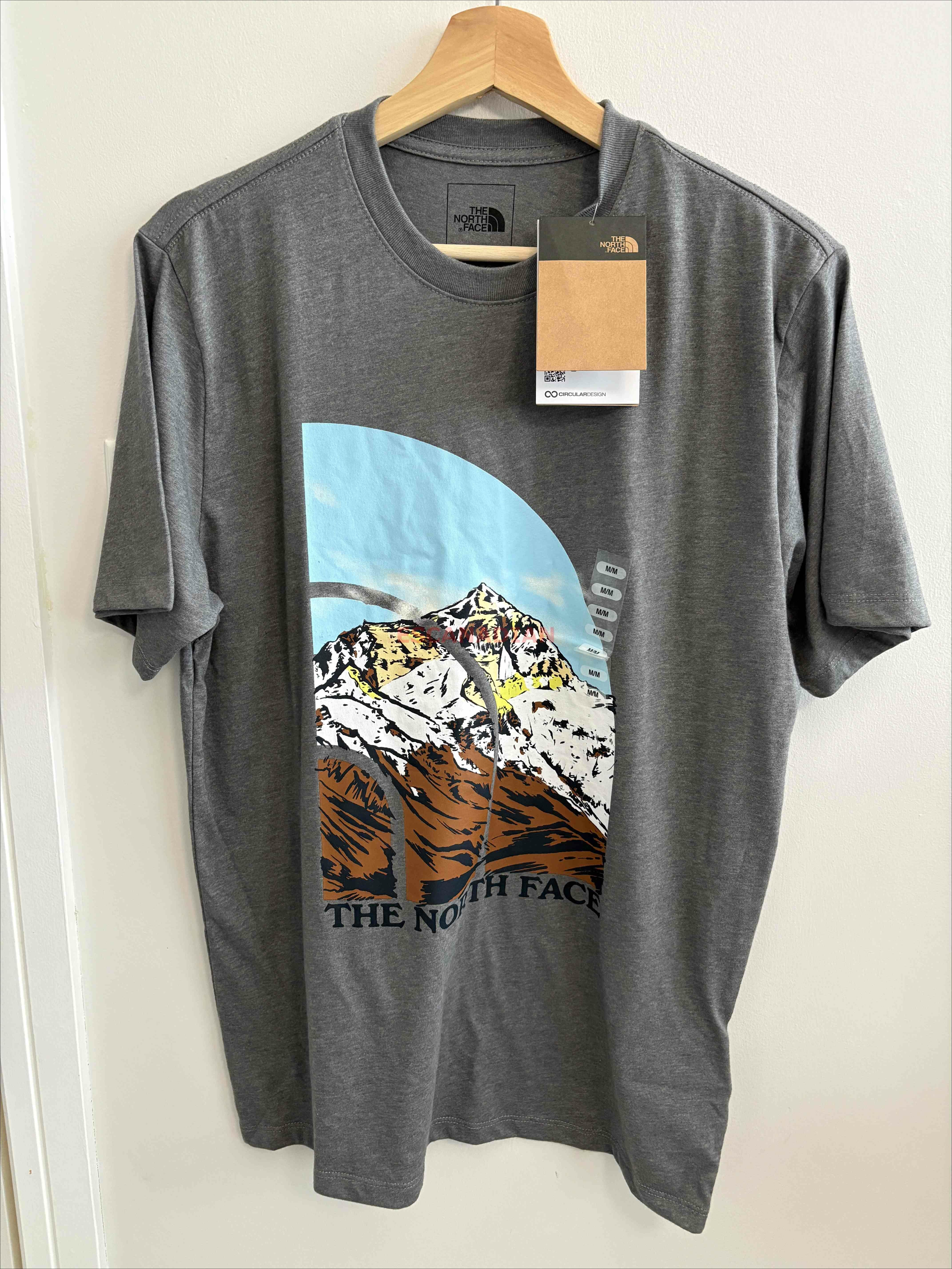 THE NORTH FACE 男大人 雙面圖案 短TEE (前圖案後小LOGO)