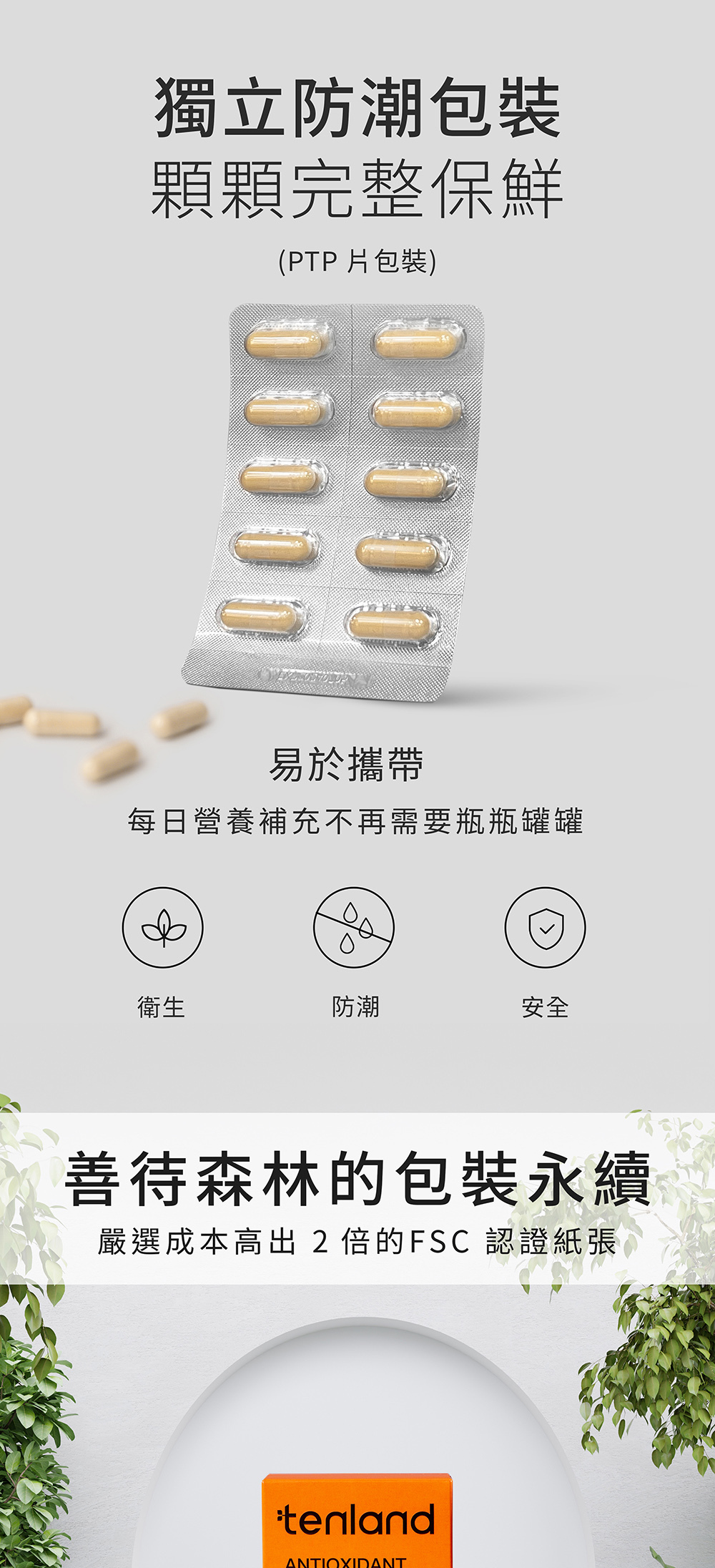 抗氧禮物-04-04