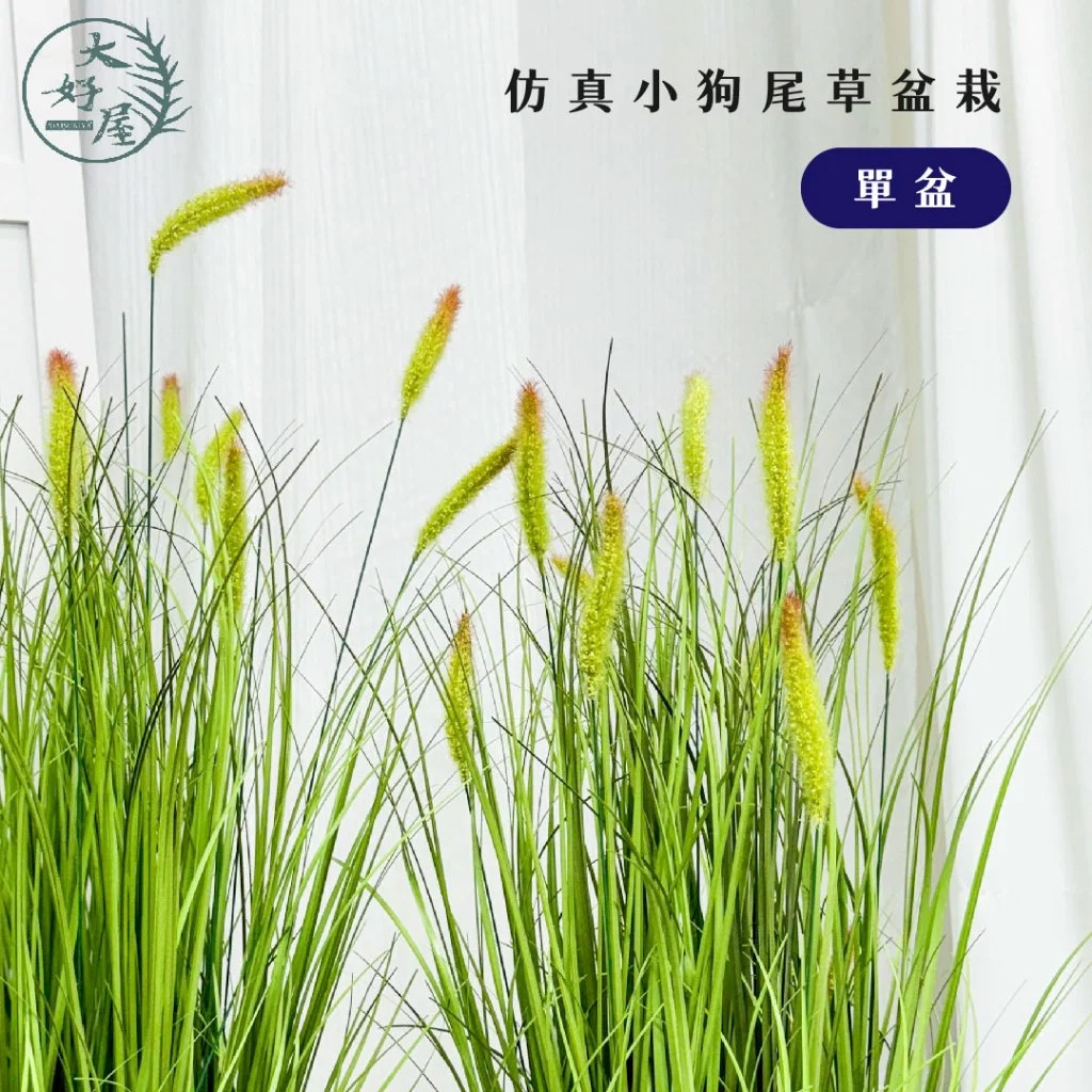 仿真蘆葦類盆栽 (小狗尾草)