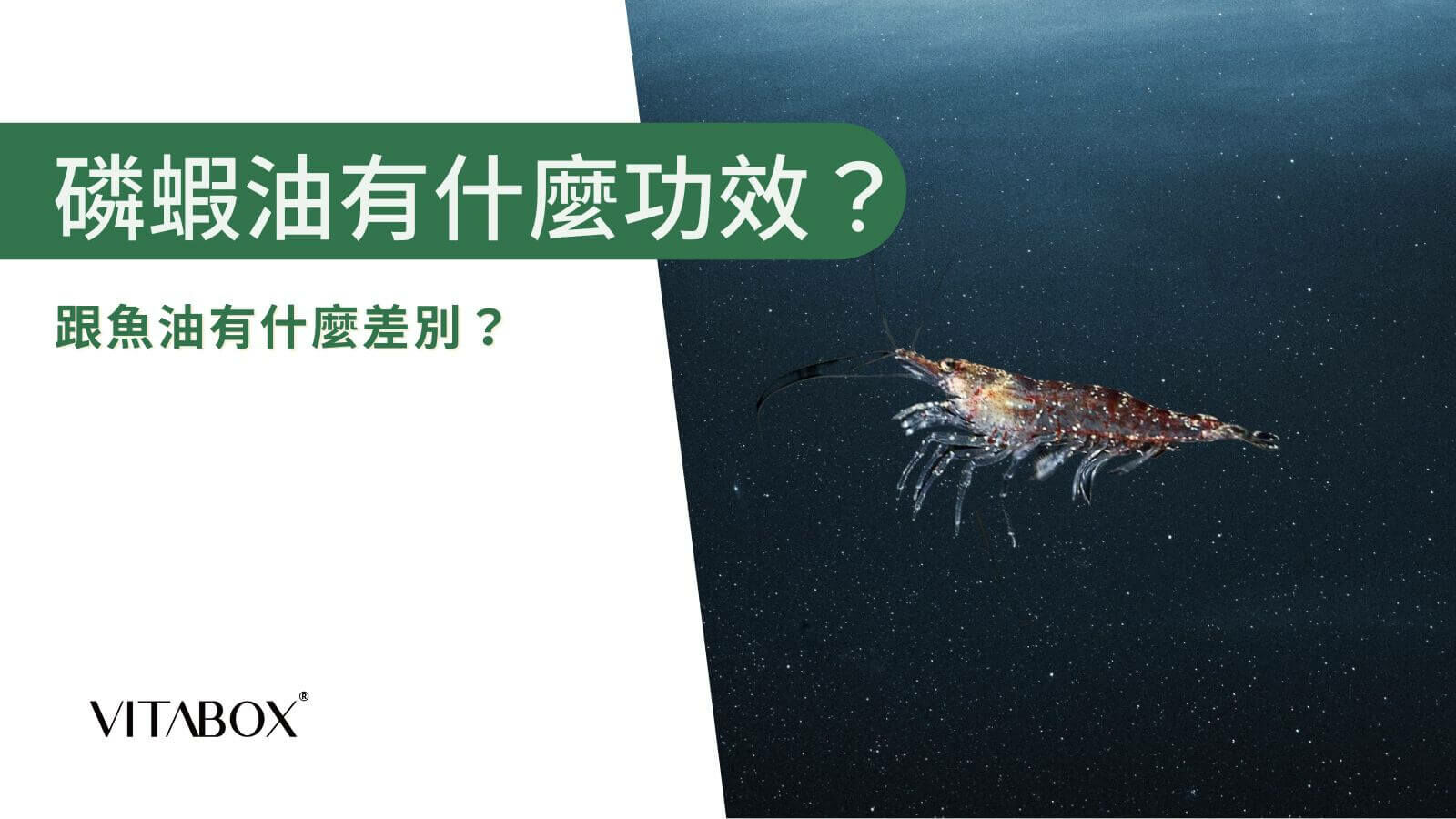 磷蝦油功效有哪些？營養師解析 5 大功效