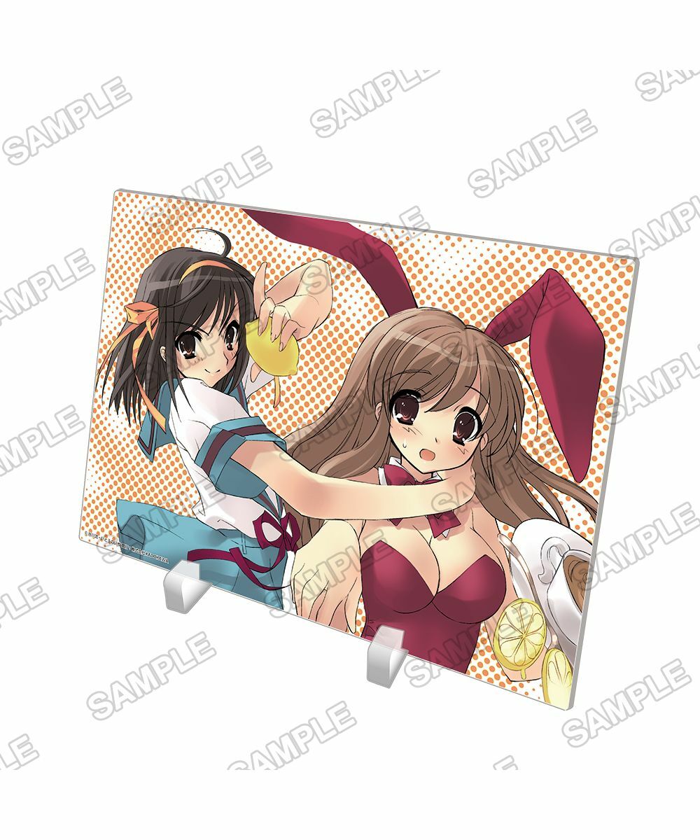 預購-『涼宮春日』系列  A5壓克力板 春日＆實玖瑠【日本進口精品】