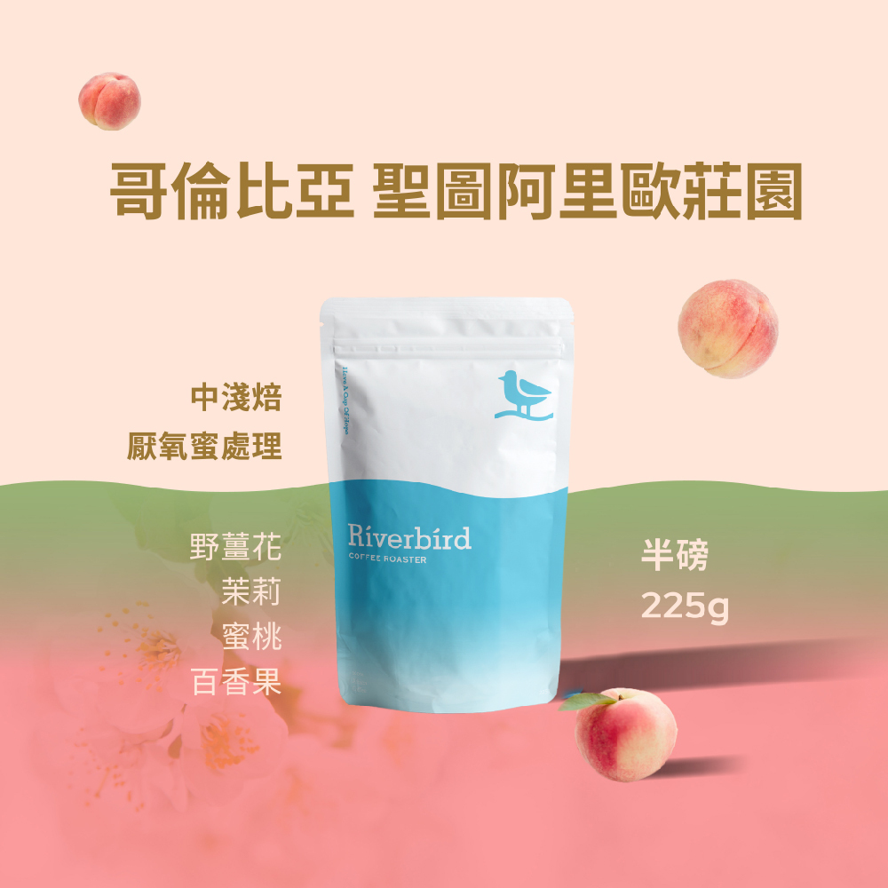 【Riverbird】《225g》哥倫比亞 聖圖阿里歐莊園 中淺焙