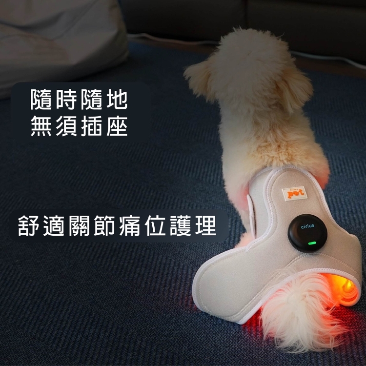 Cirius pet wireless controller