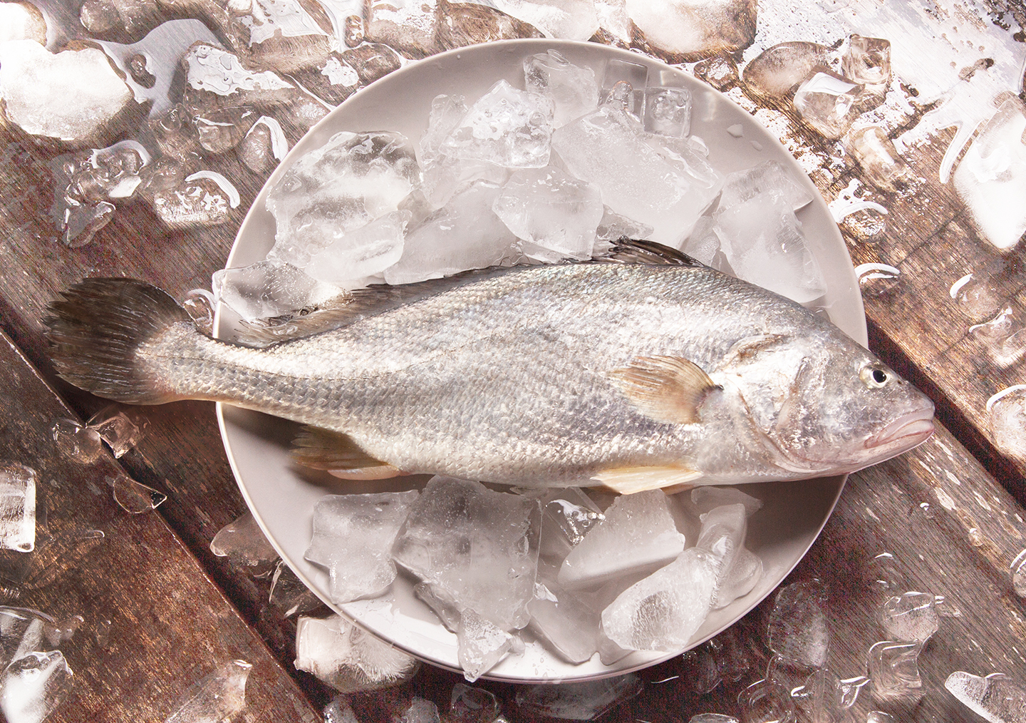 白花魚輪切魚扒 (300g-350g)