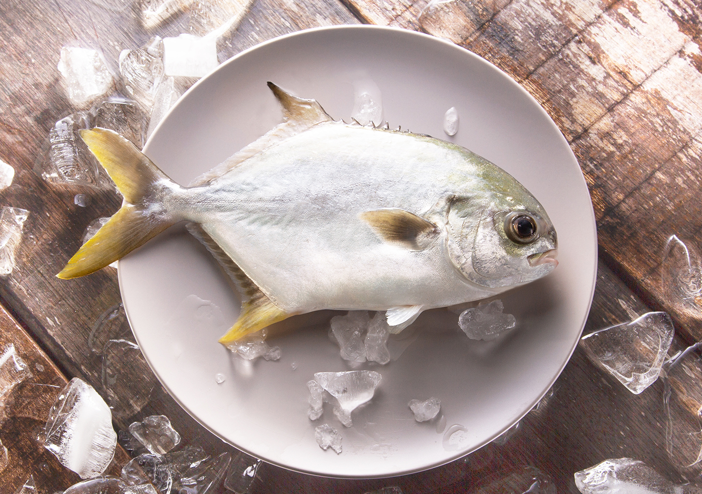 黃立鯧輪切魚扒 (300g-350g)