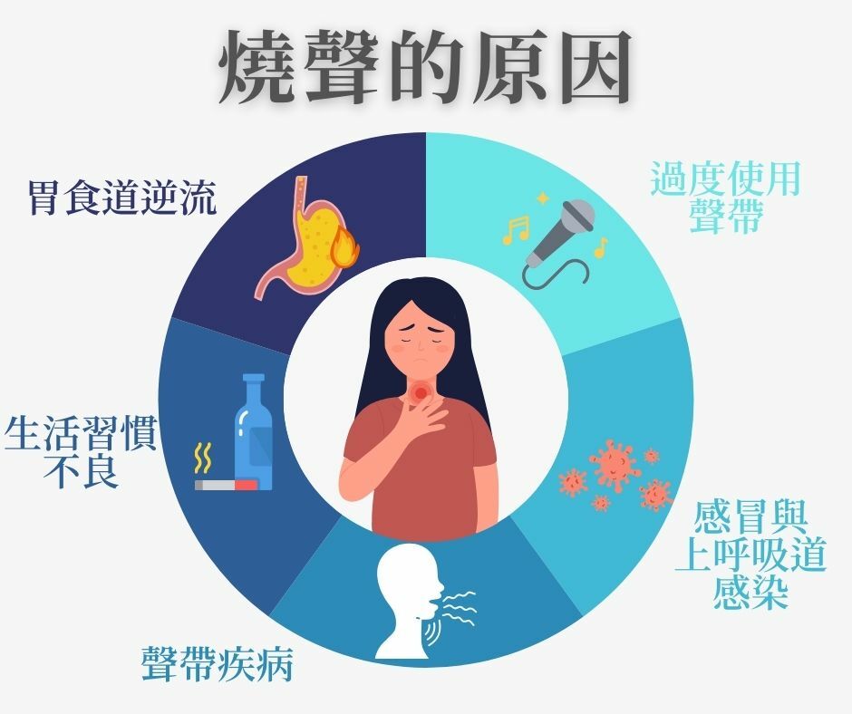 燒聲原因資訊圖，中央顯示女性捂著喉嚨，環形圖分類說明五大燒聲原因：胃食道逆流（展示胃部插圖）、過度使用聲帶（麥克風與音符）、感冒與上呼吸道感染（病毒插圖）、聲帶疾病（發聲示意圖）、生活習慣不良（酒精和抽菸相關物品）。圖表用藍色調設計，清晰呈現聲音沙啞的主要病因，適合健康教育參考。